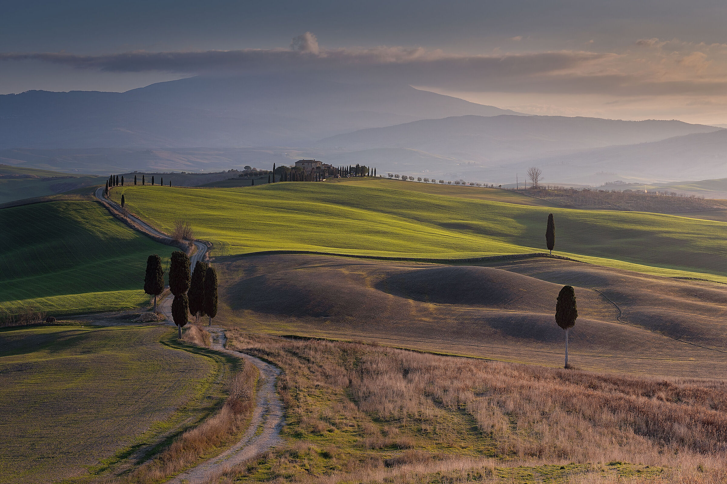 Terrapille and the Elysian fields, Pienza....