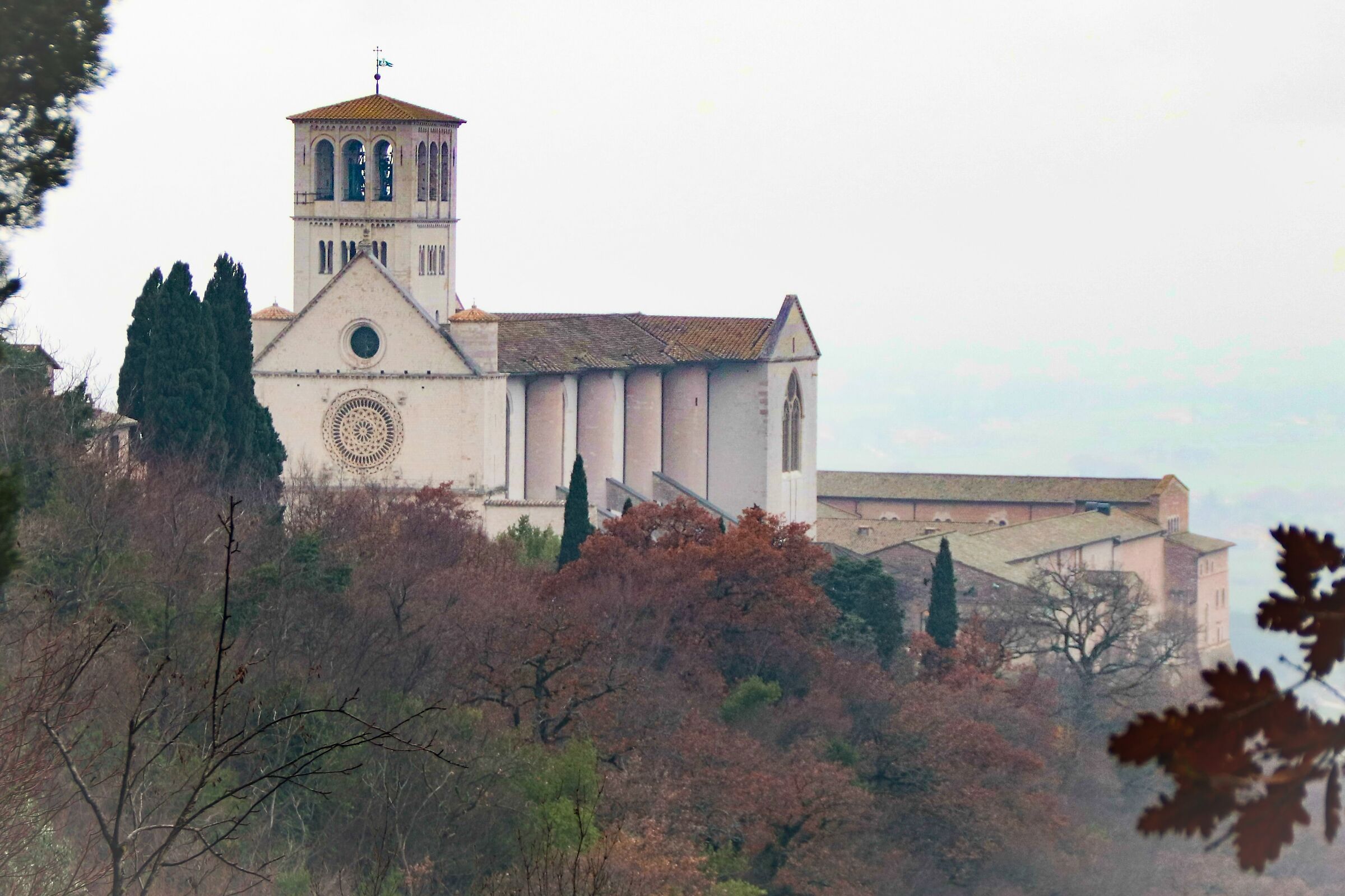 Basilica San Francesco Assisi...