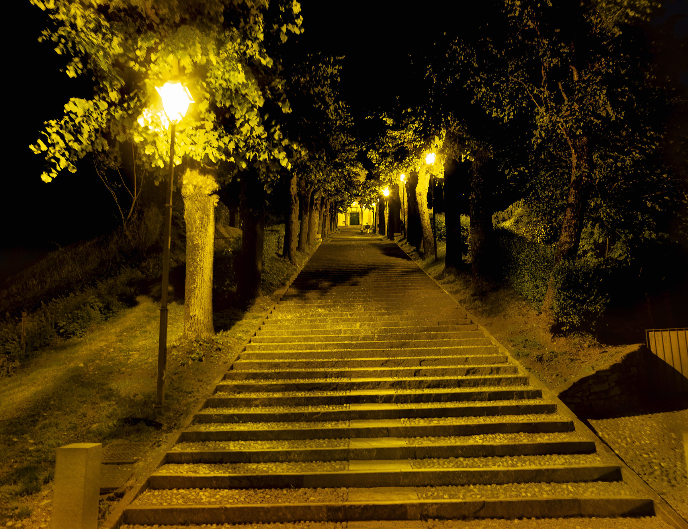Montevecchia night walk...