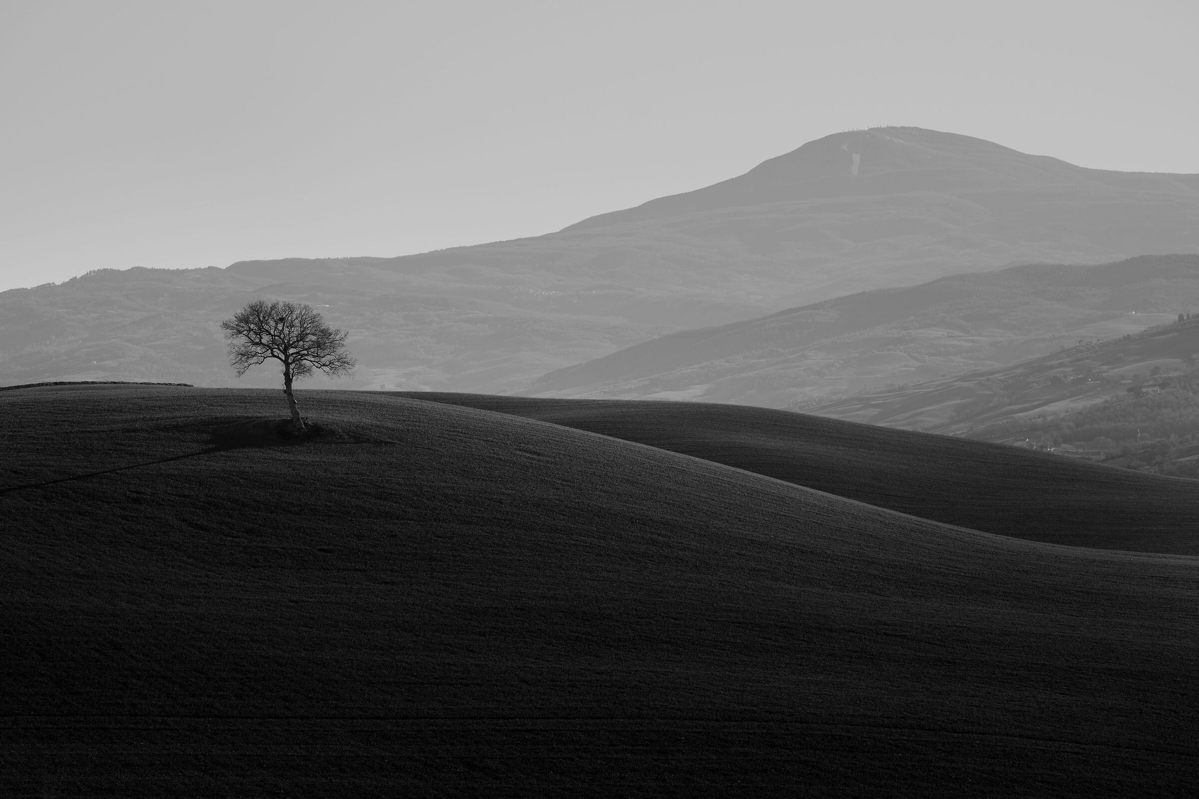 Val d'Orcia in black and white...