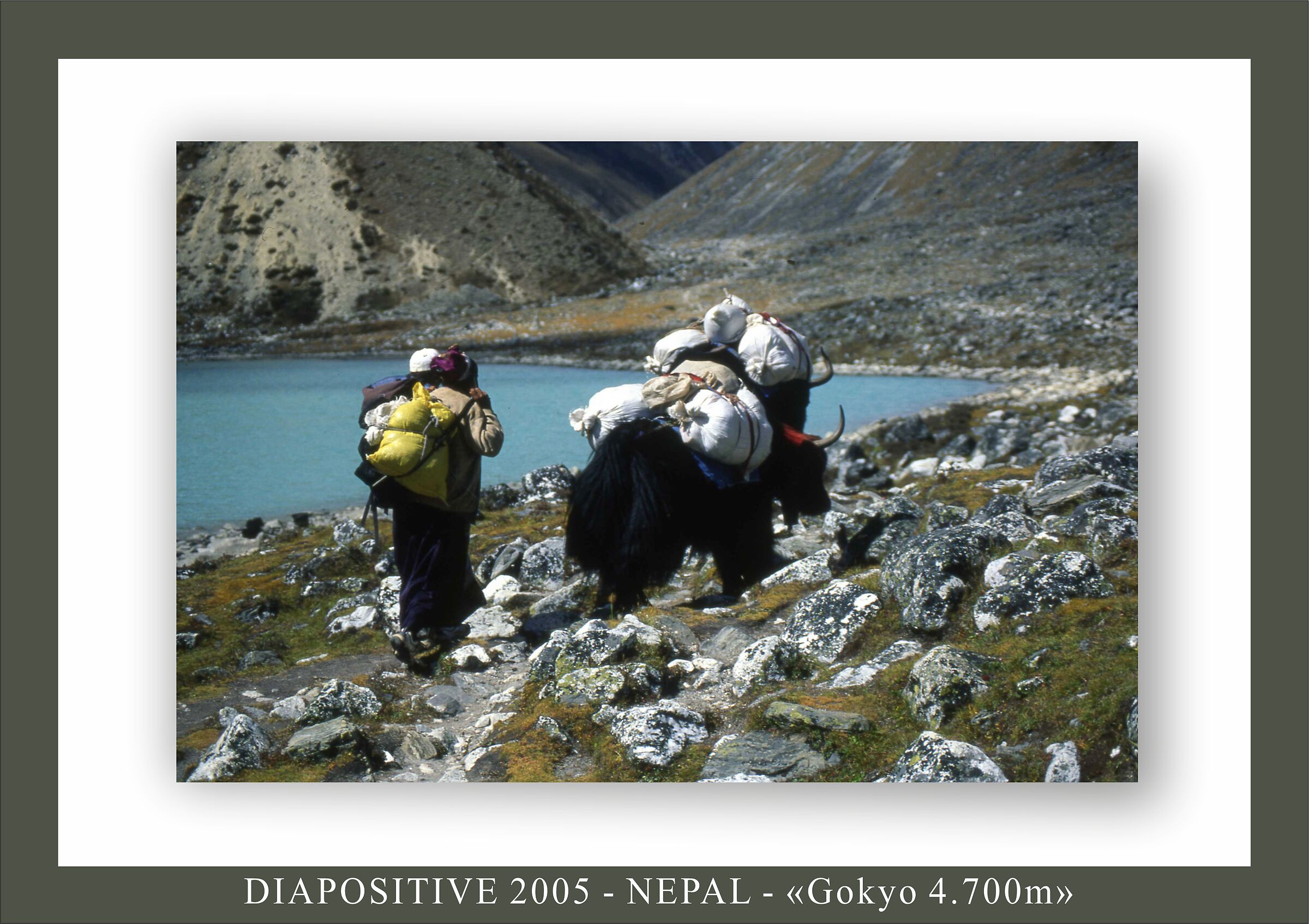 going up to the lakes of Gokyo...