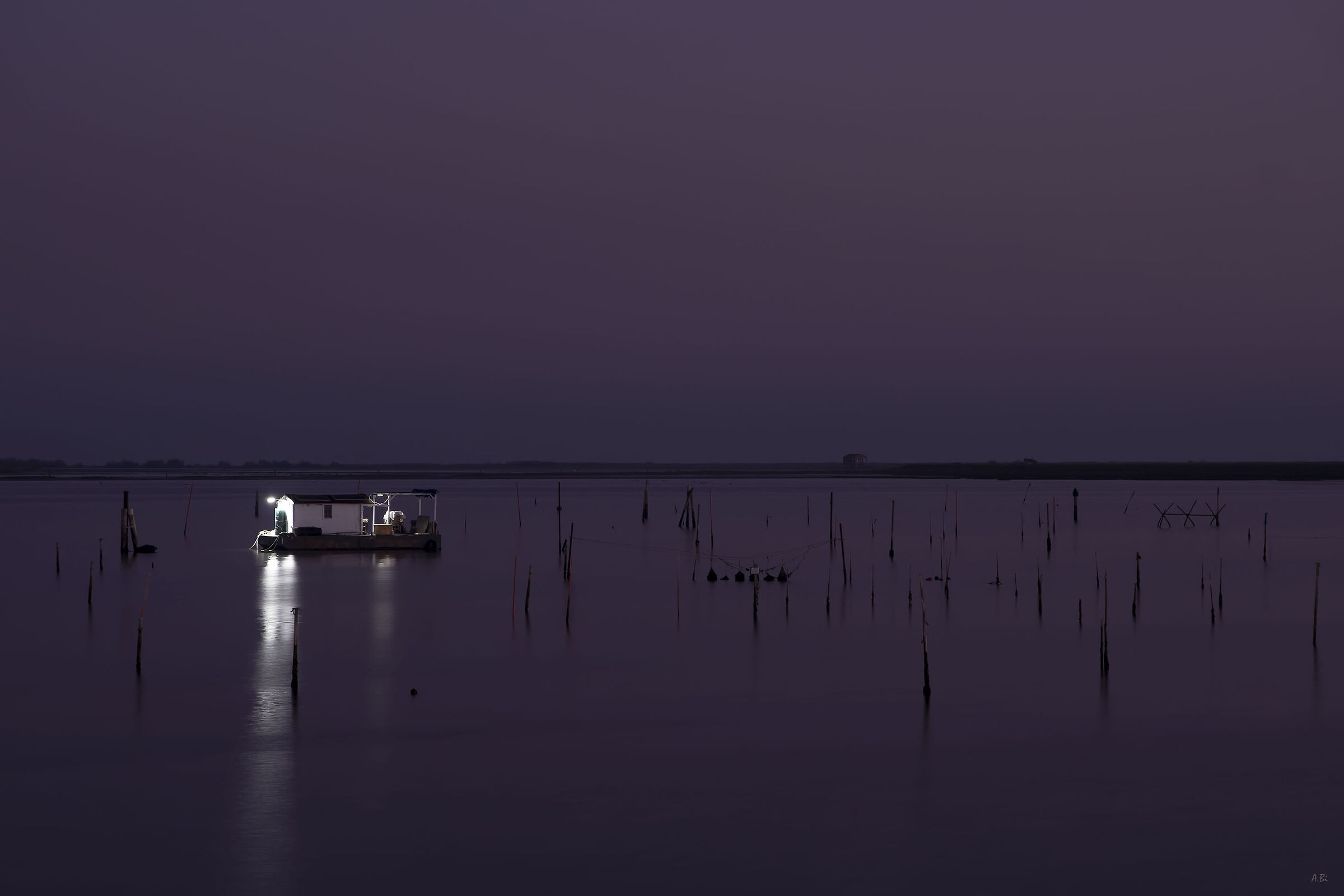 The Delta in pink...
