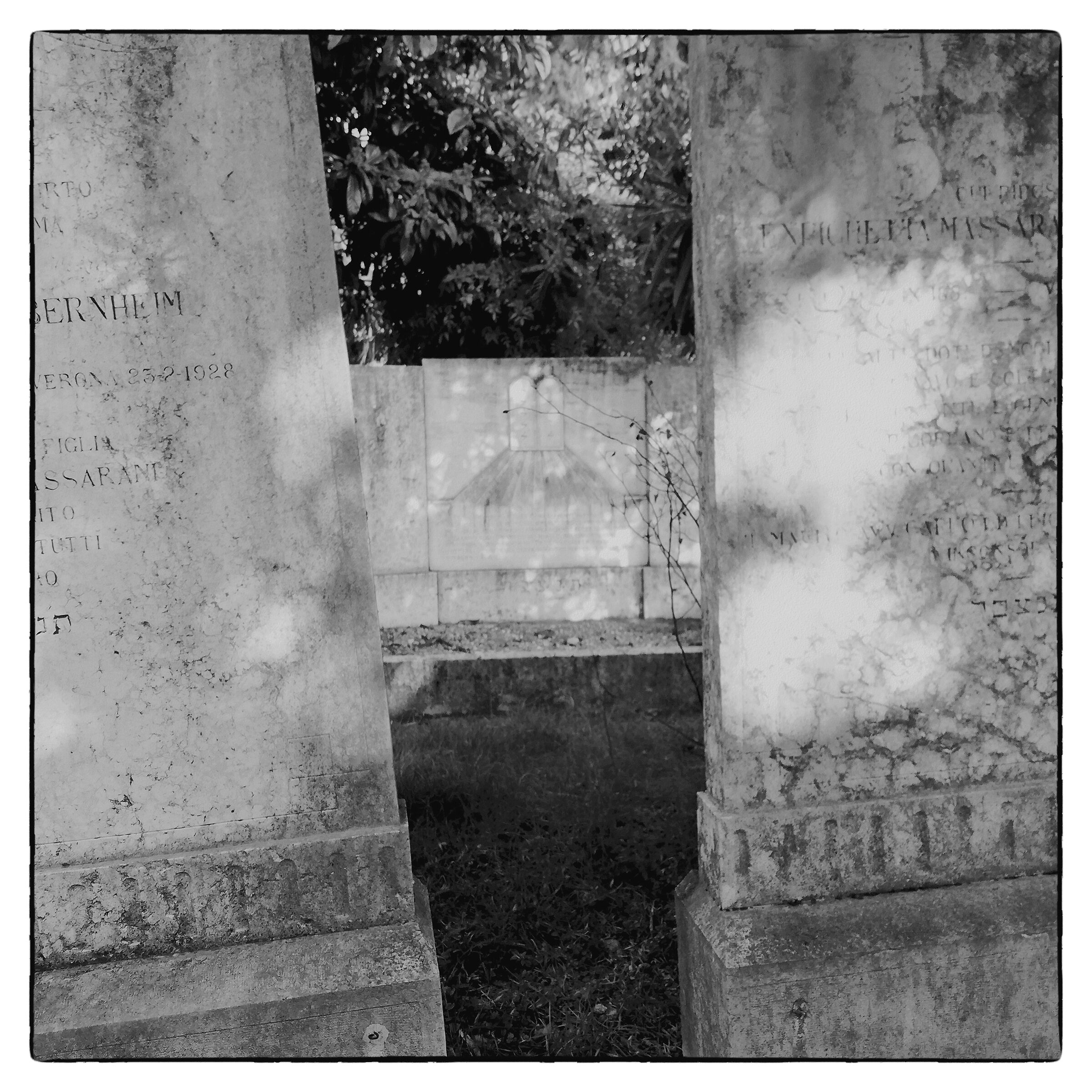 Jewish Cemetery of Verona...