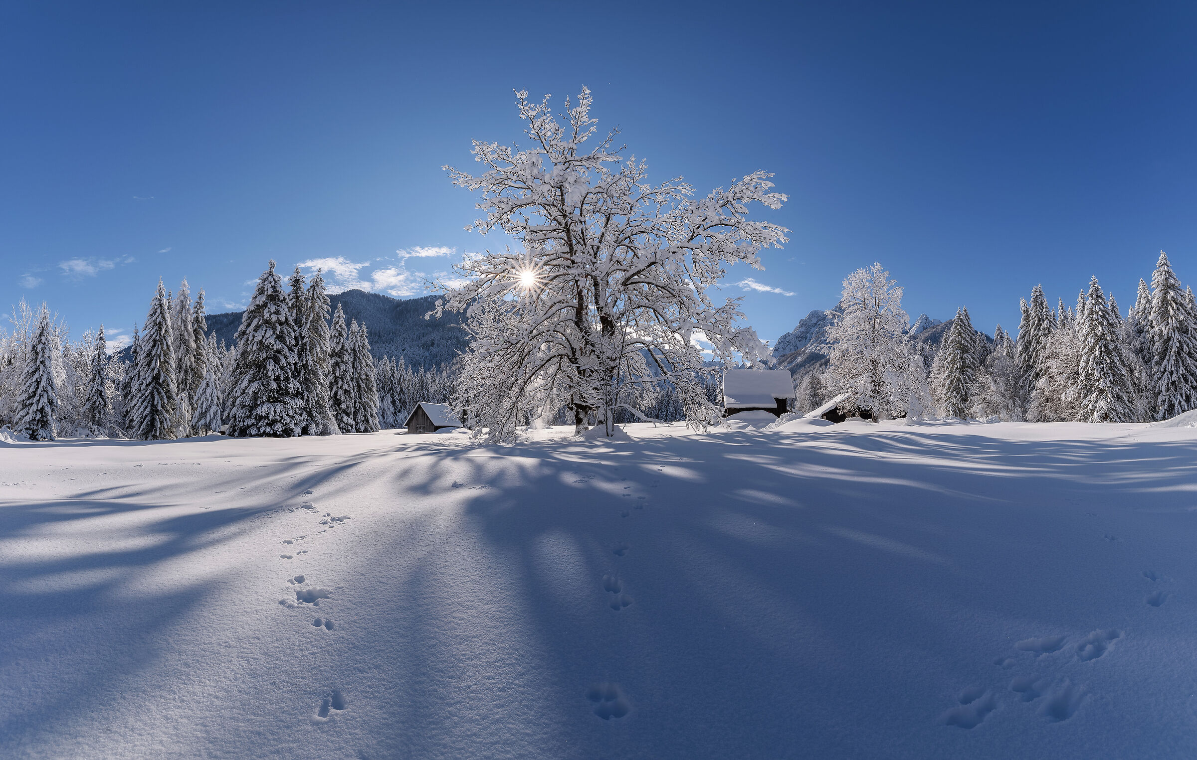 Winter paradise...