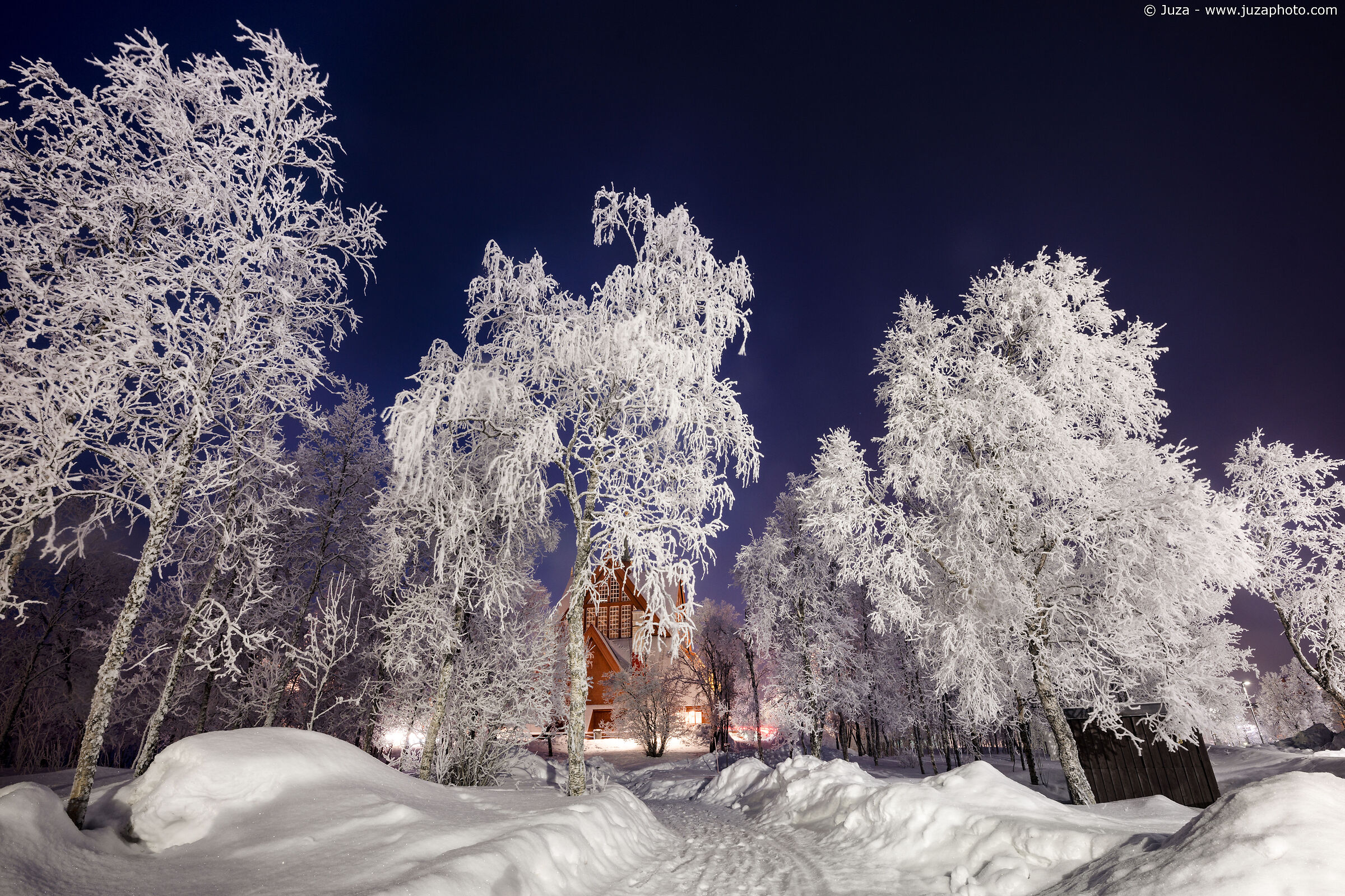 The trees of Kiruna...