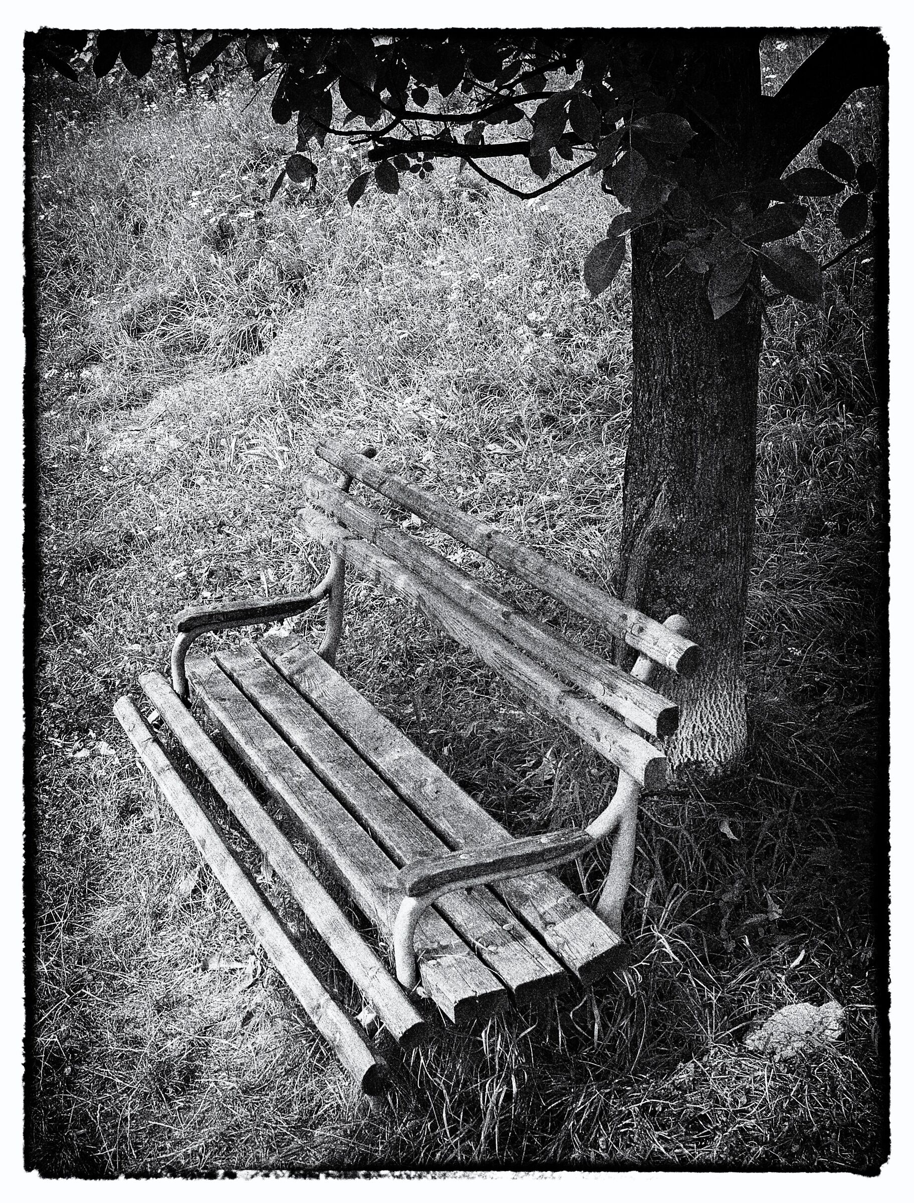 bench - black and white...