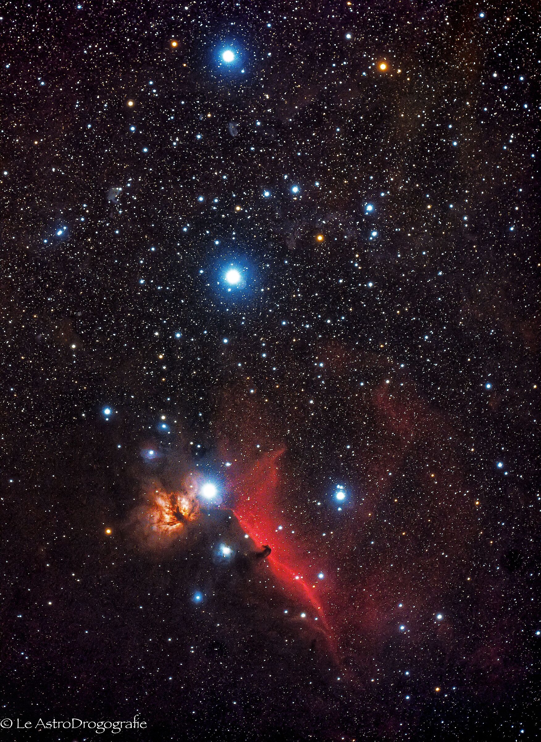 Horse's head in Orion...