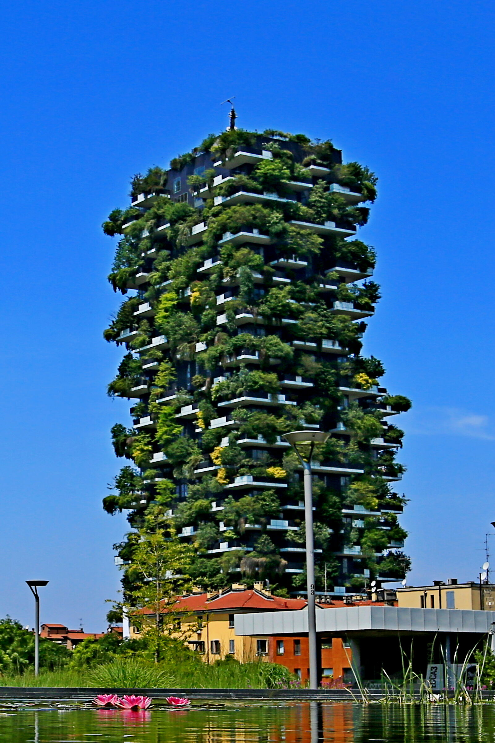 Un albero di 30 piani! (Adriano Celentano...
