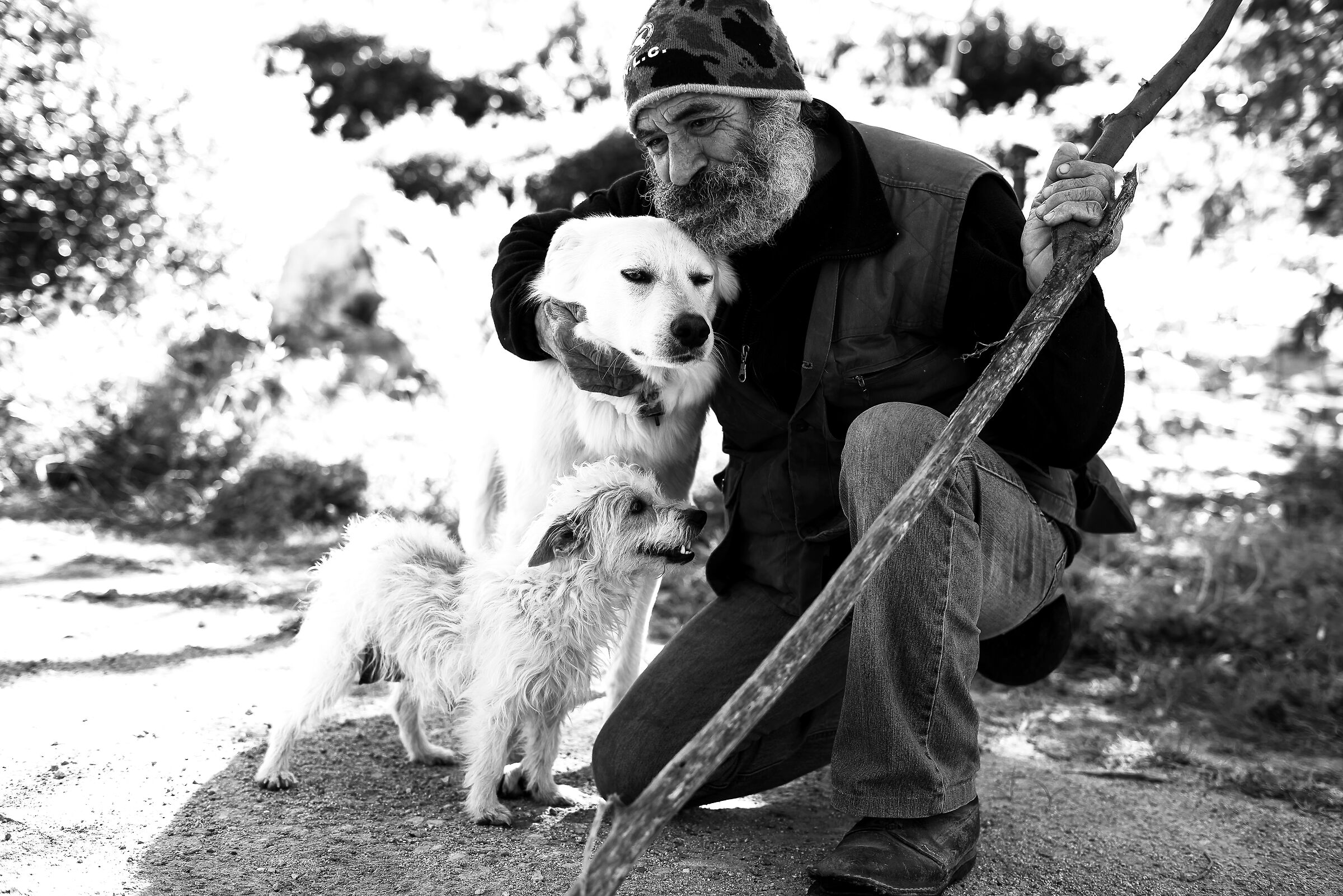 Giorsanto with his two shepherd dogs...