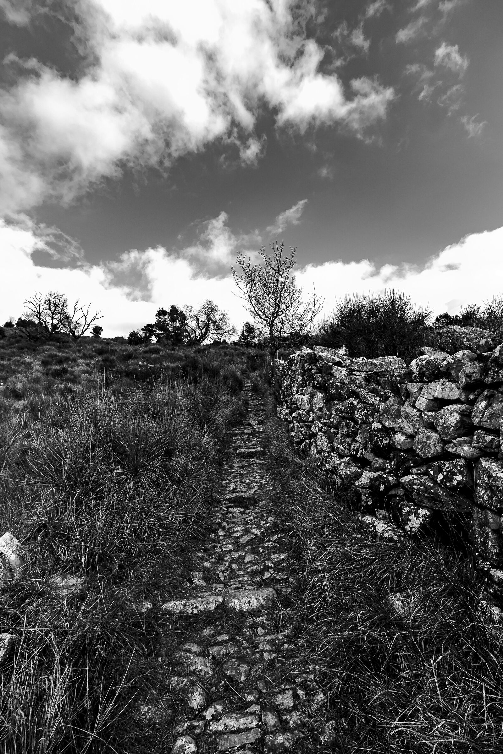 Untitled Photo...