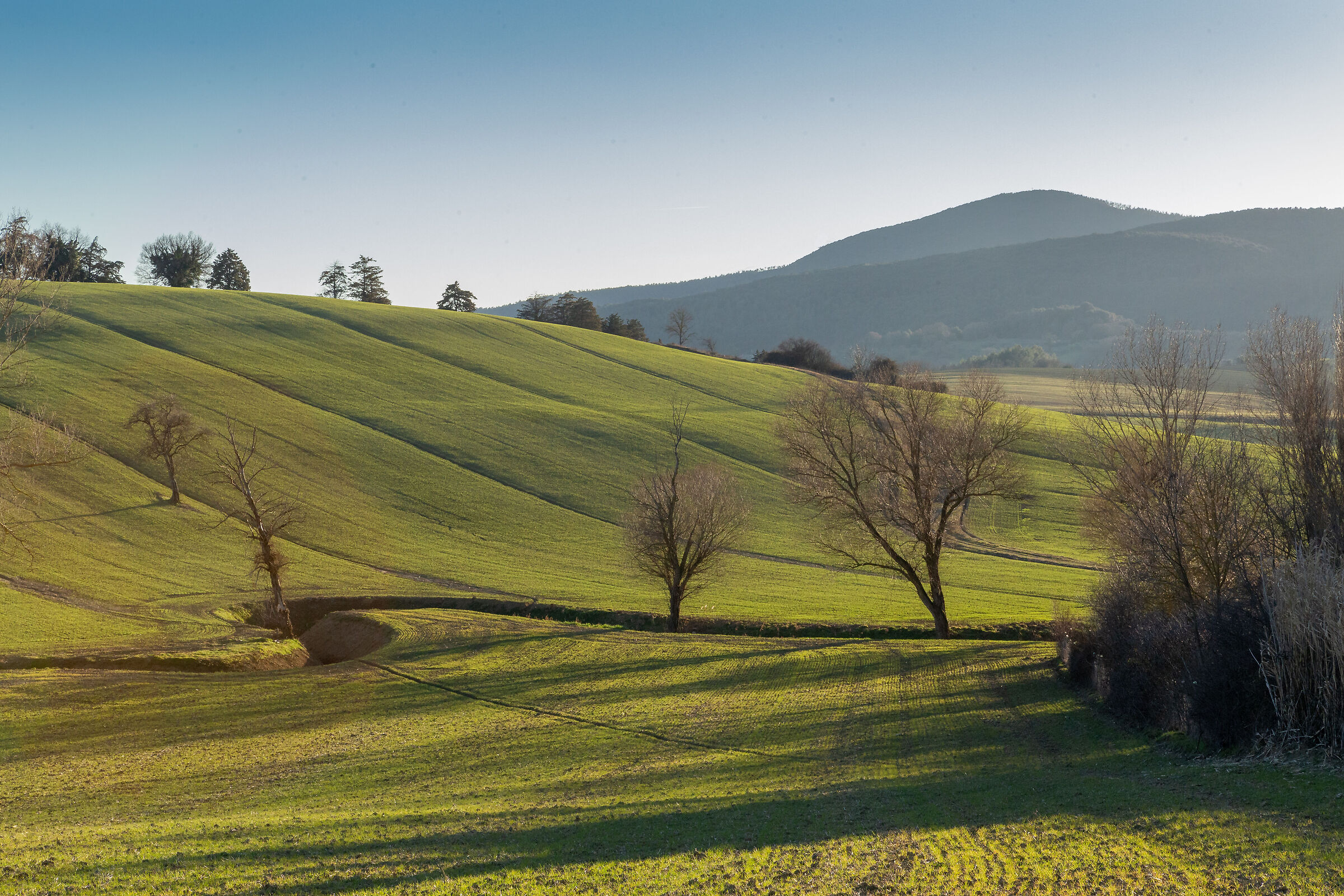Hills...
