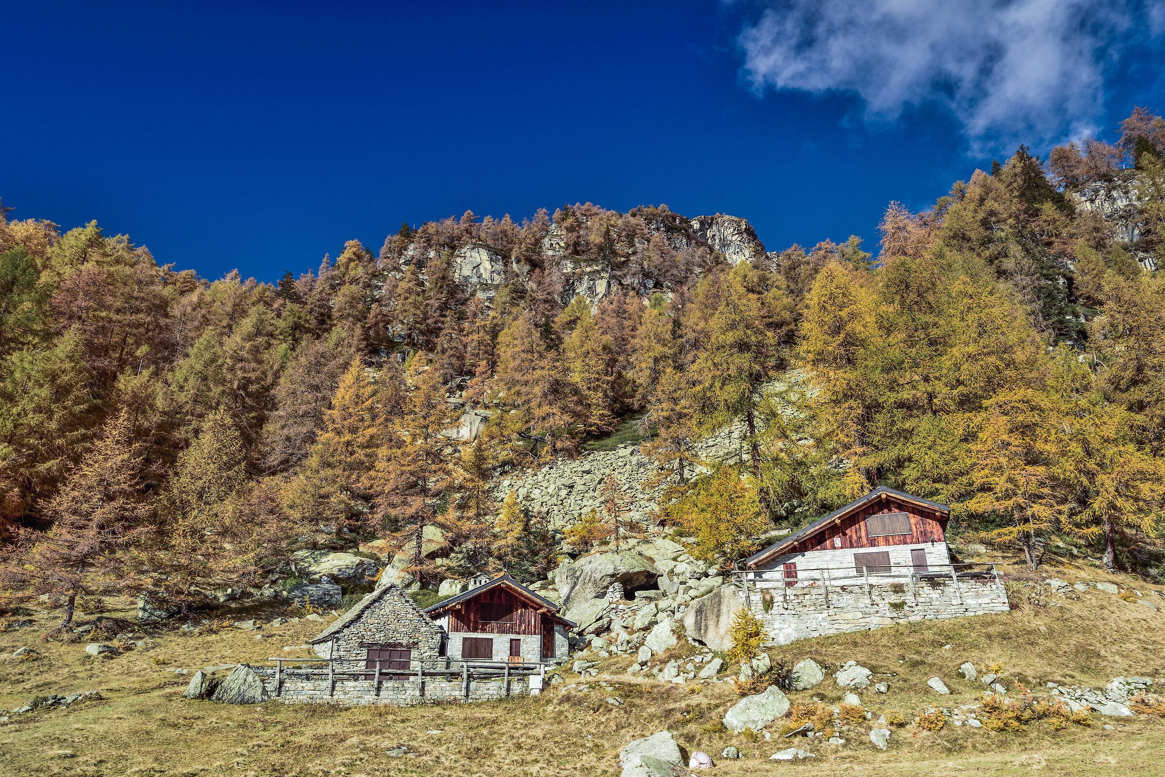 autumn 2020 Valdivedro - Alpe Solcio...