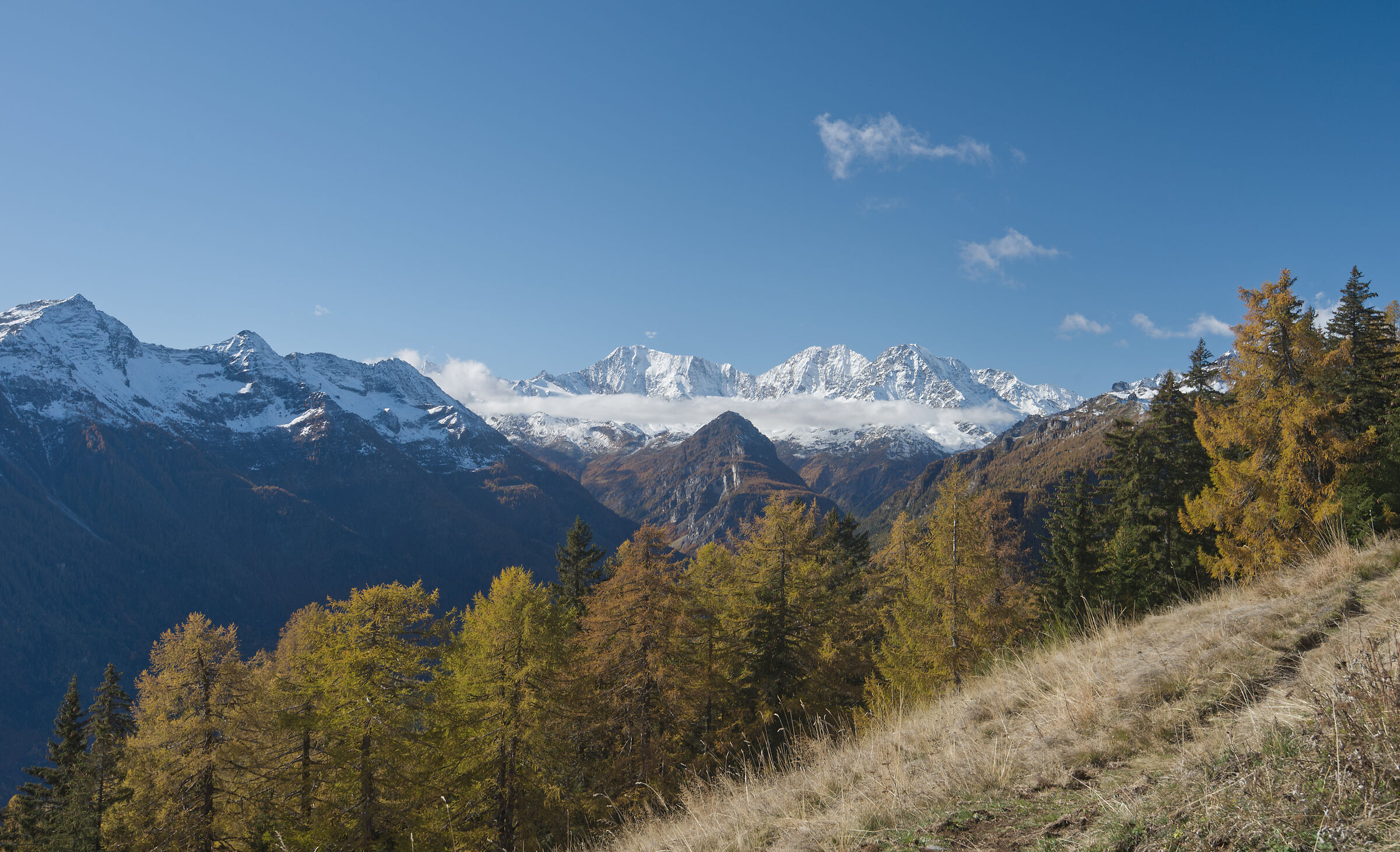 autunno 2020 Valdivedro dall'Alpe Rono...