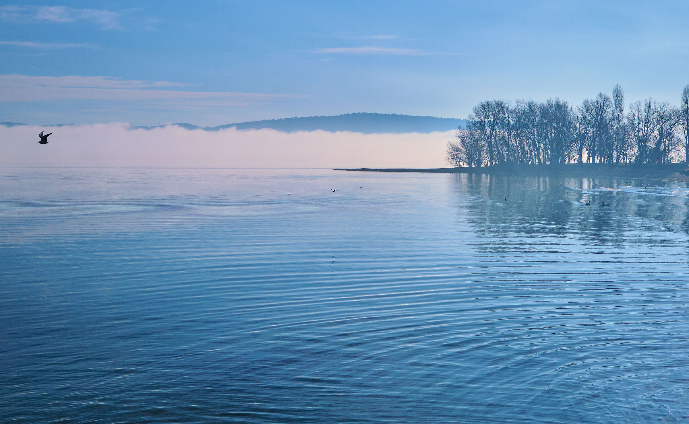 Lago Maggiore- Prime ore di un giorno invernale...