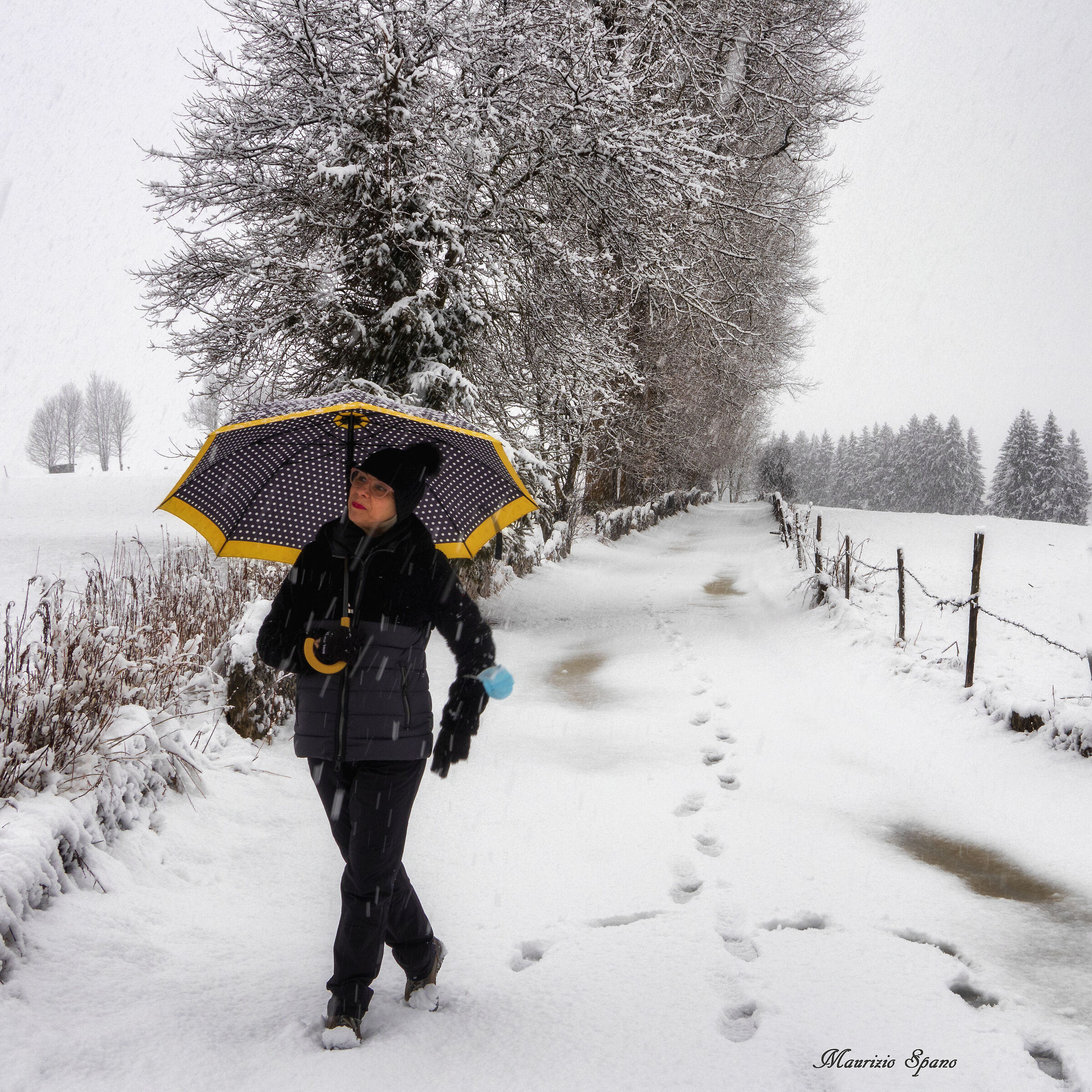 Walking through the snow of February...