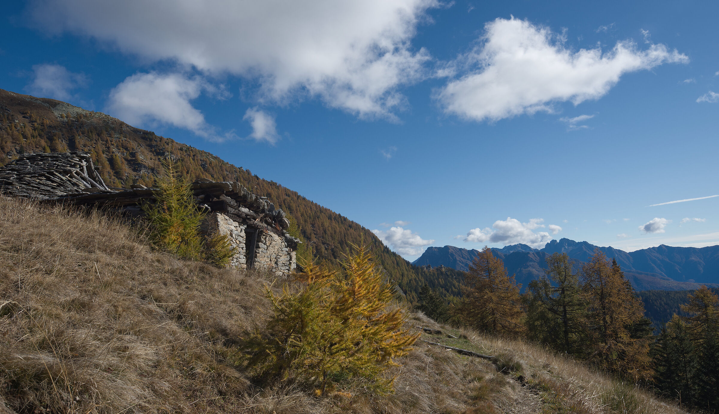 autunno 2020 Valdivedro - Alpe Rono...