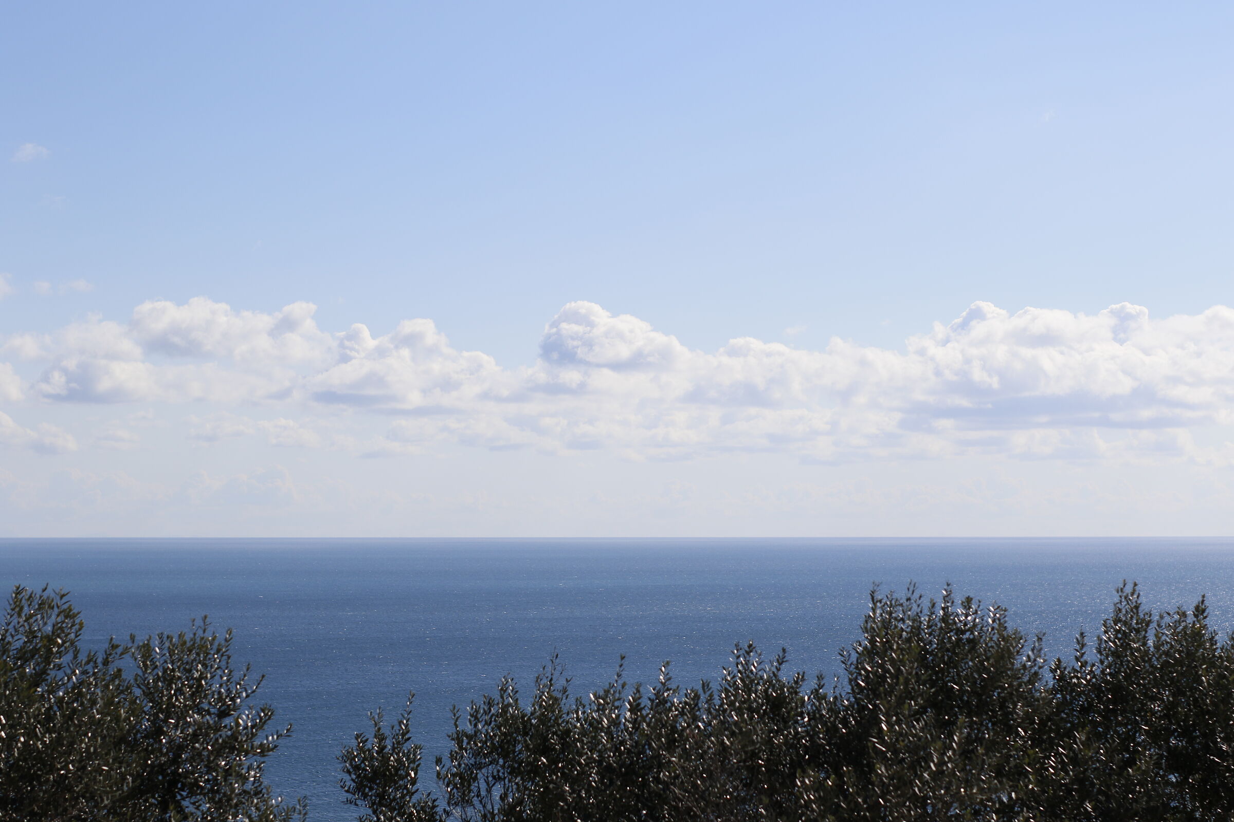 Canon 7D II / Milvus Zeiss 50, 1.4...