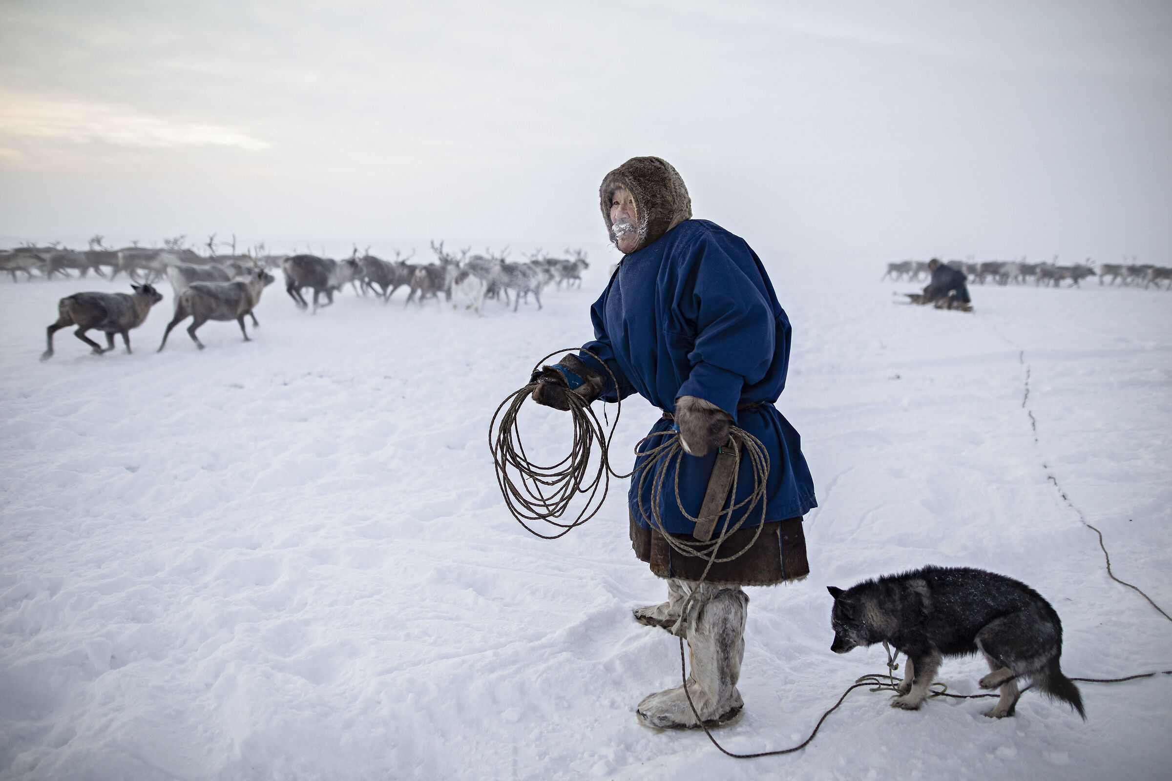 Life in Tundra...