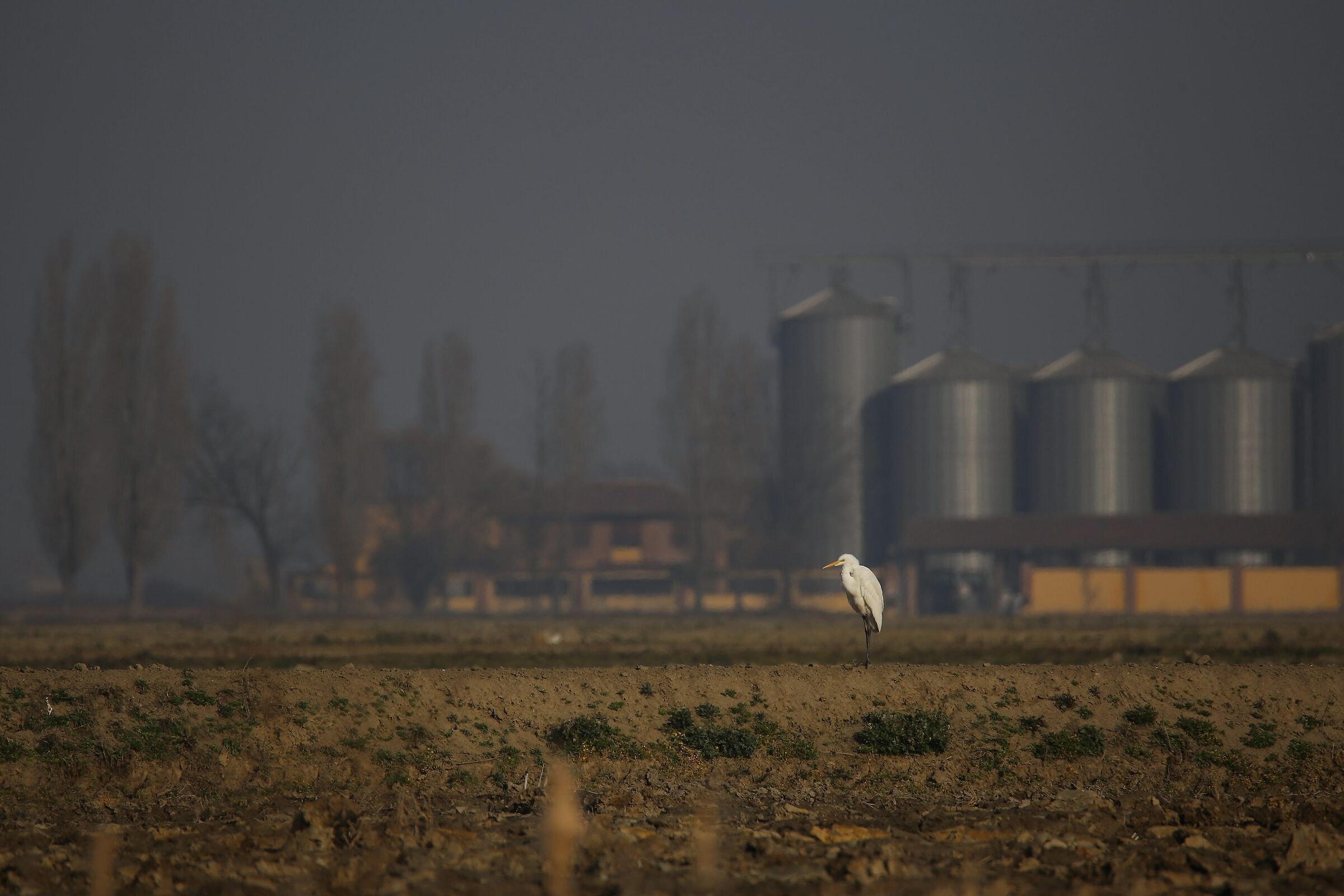 Paesaggio...