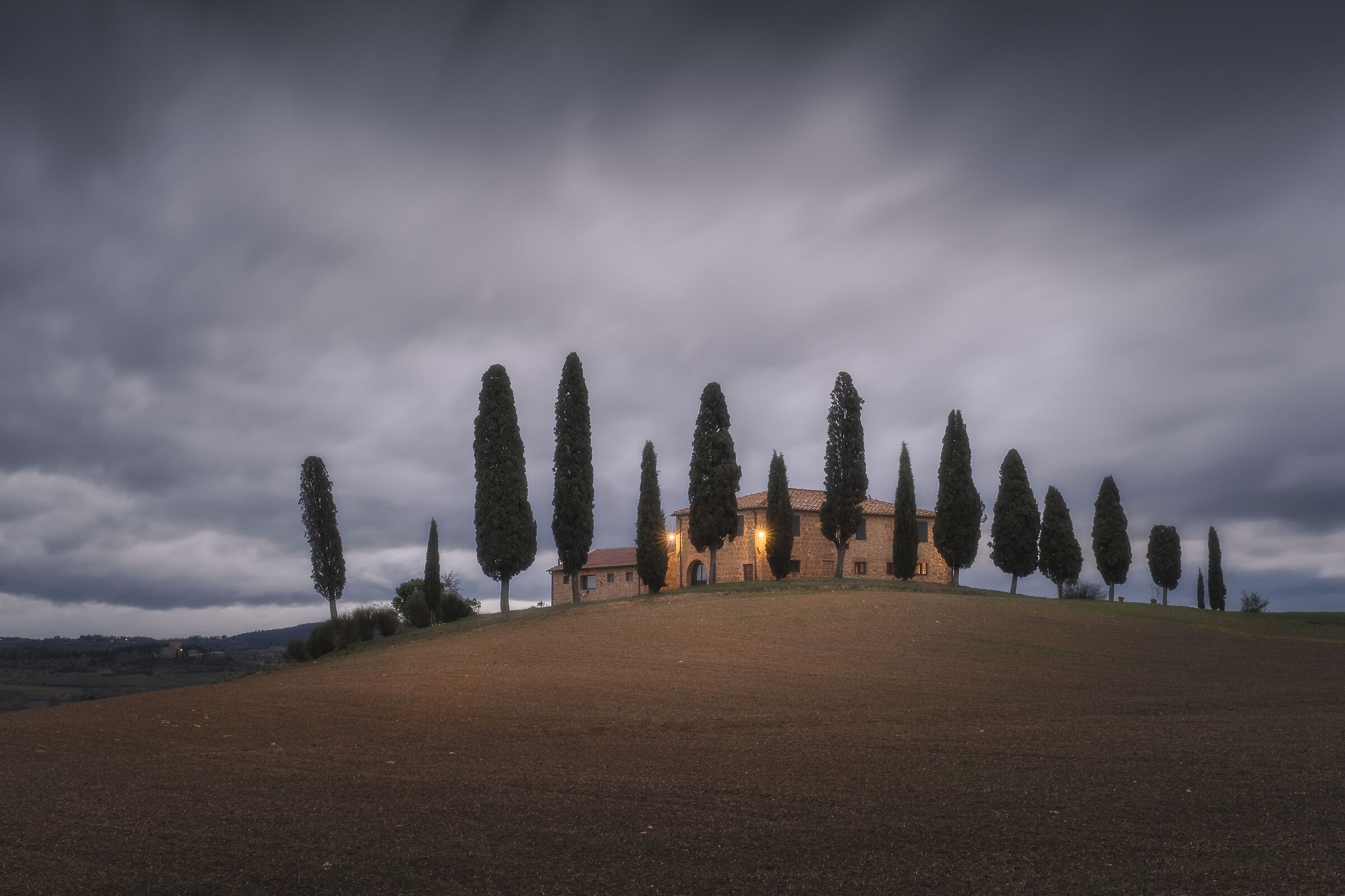 The cypresses...