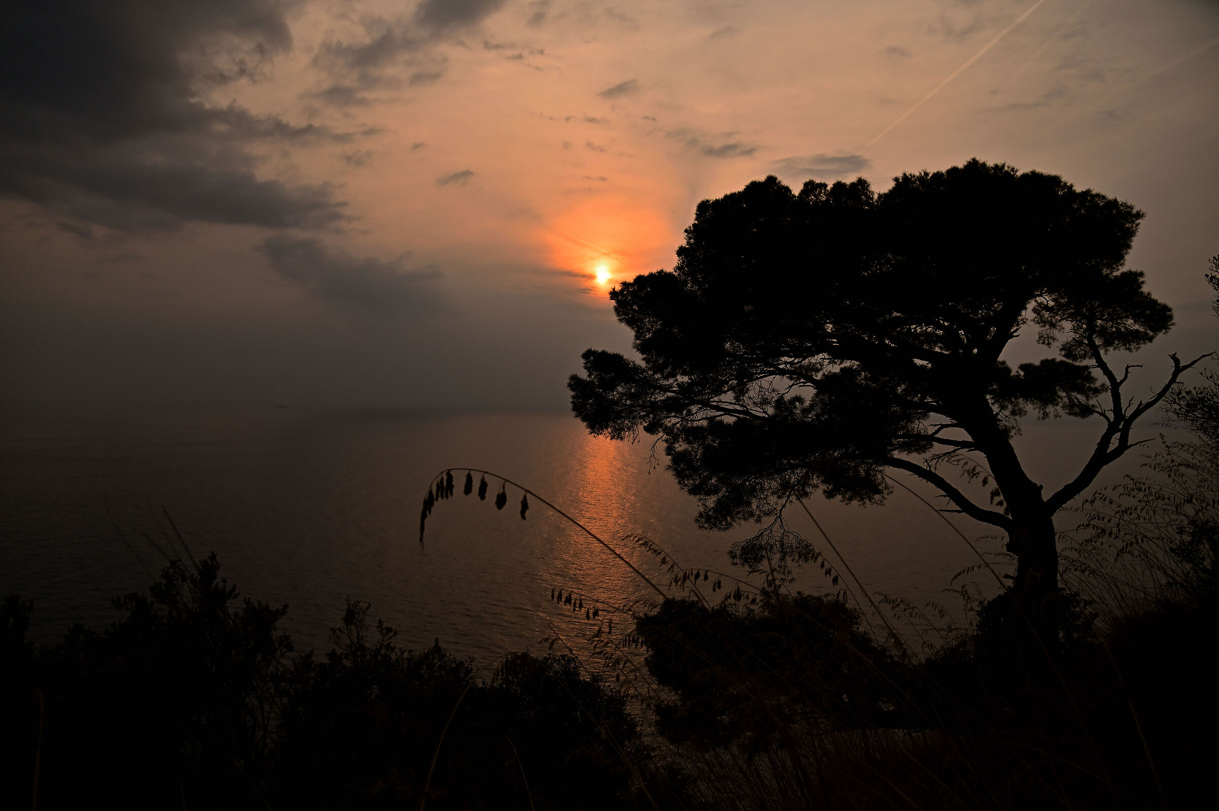 Ligurian Sunset...