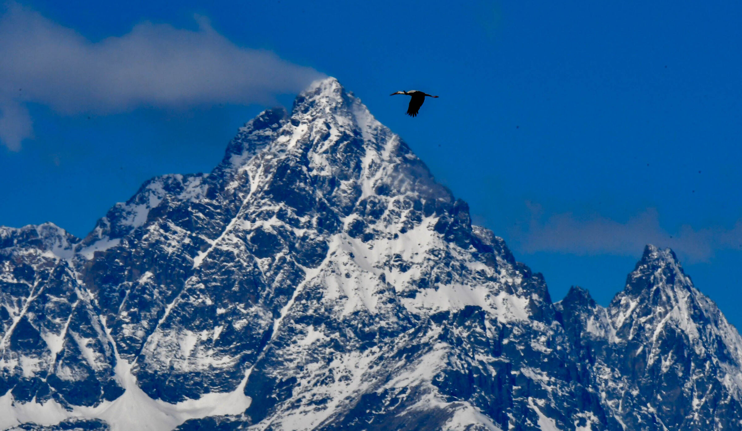 The stork and the monviso...