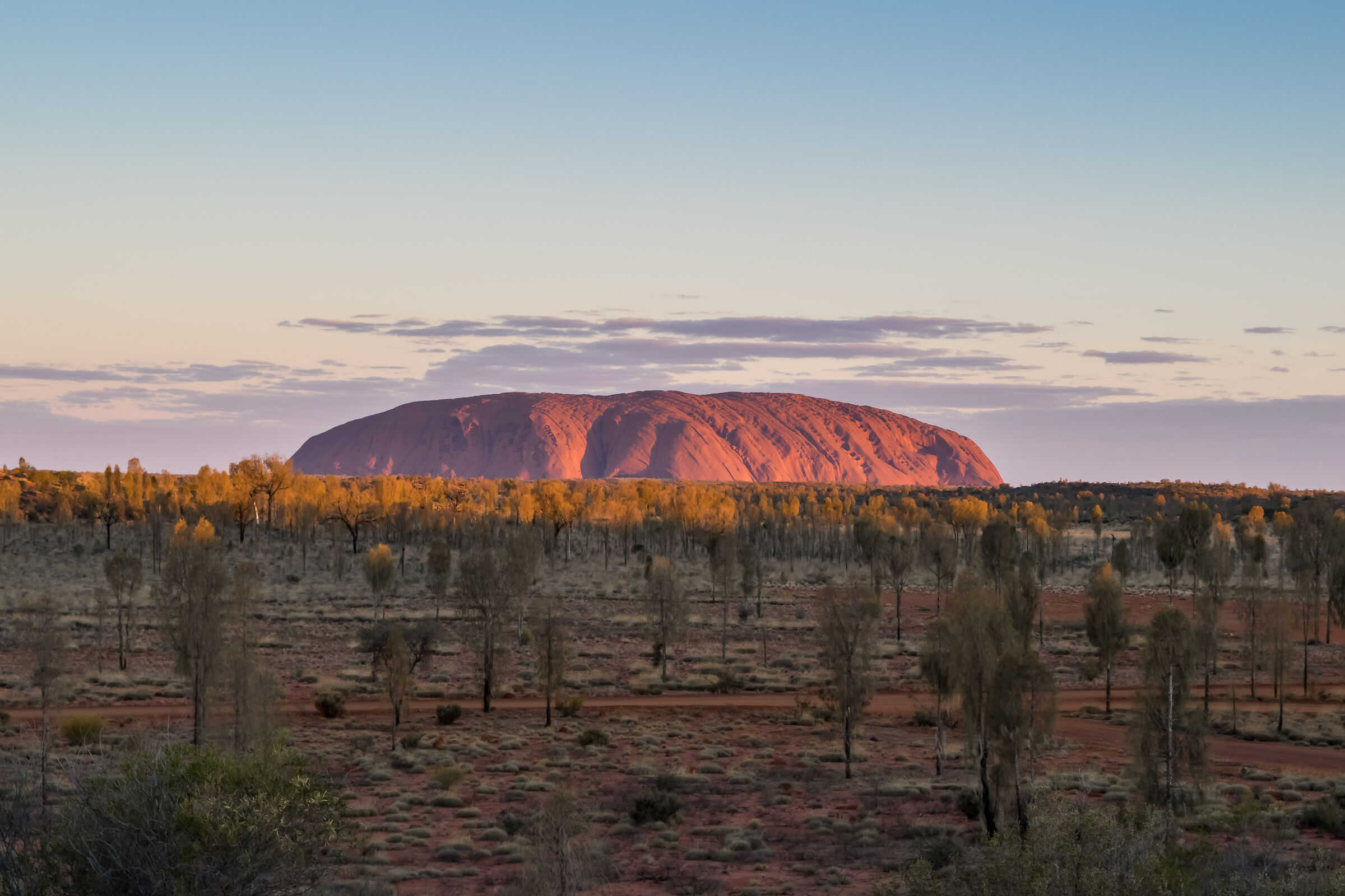 Ayers Rock - Alice Springs...