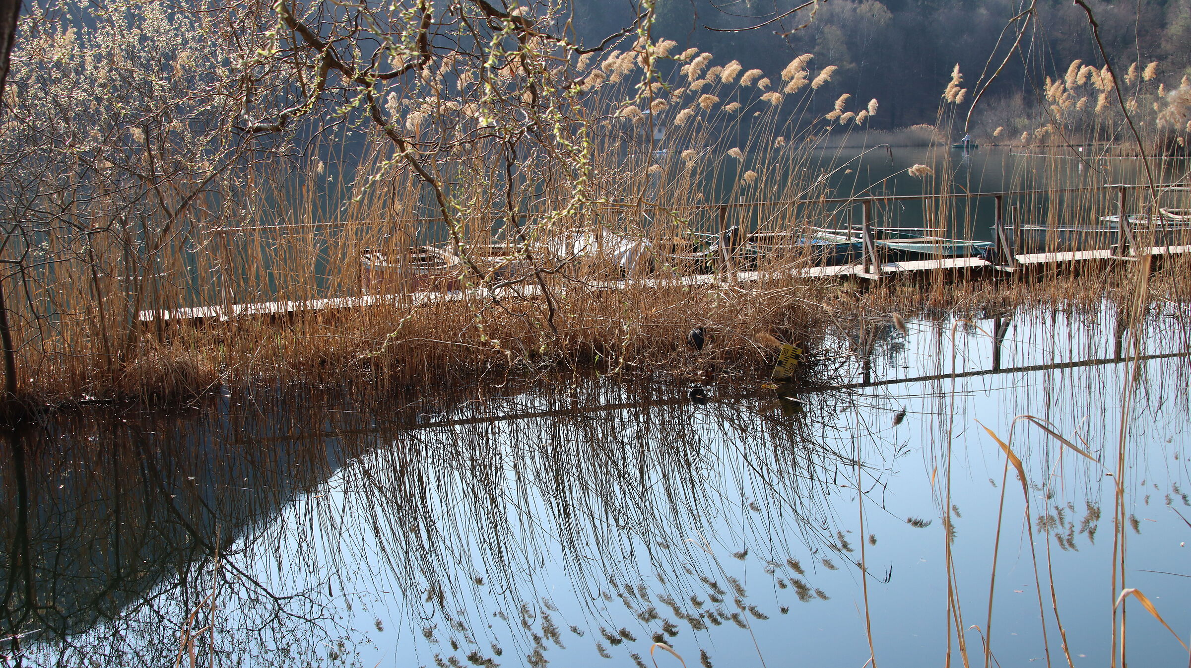 Monticolo Lago - La tranquillità 2...