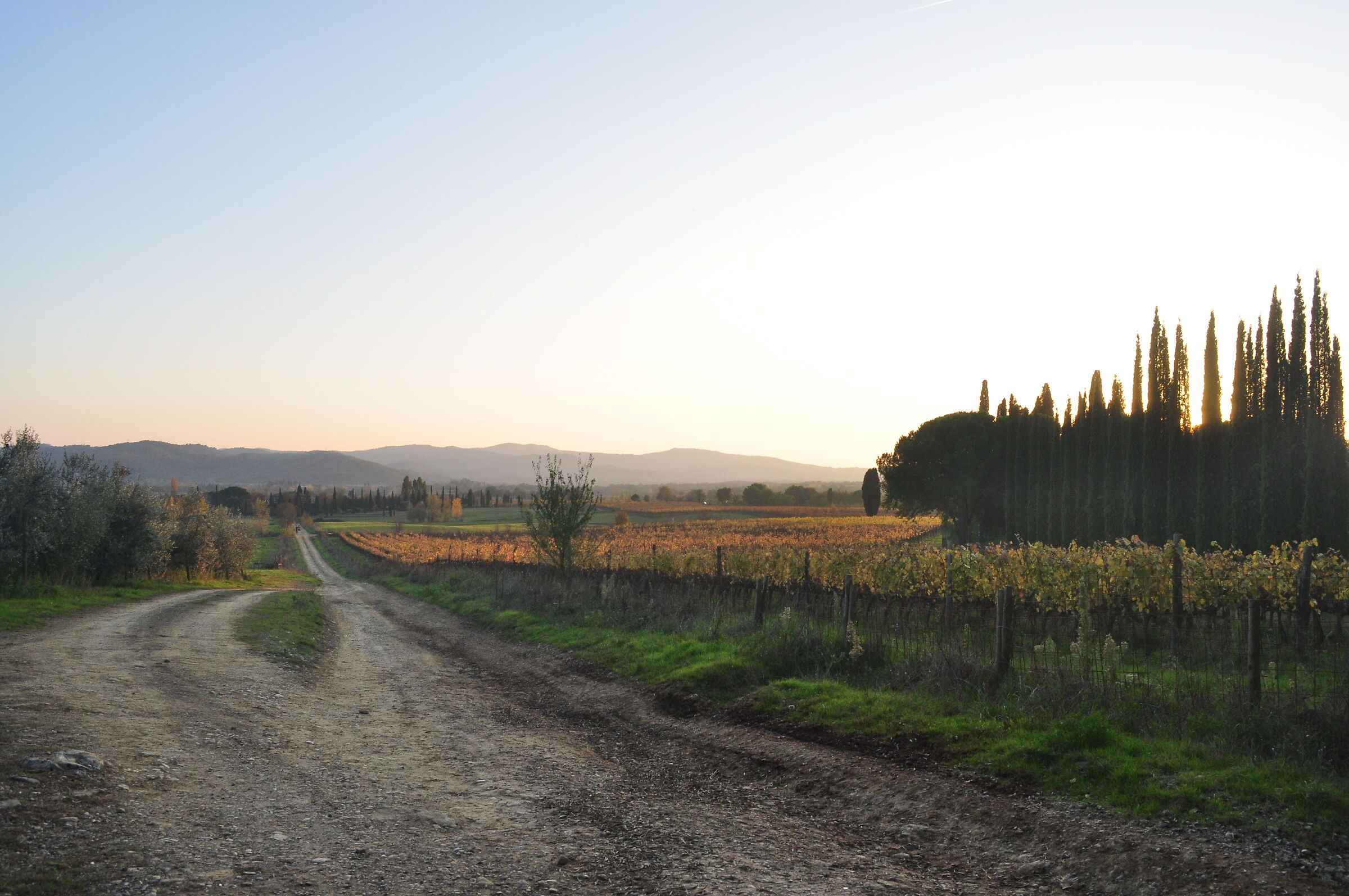 Sunset in the countryside of Arezzo...