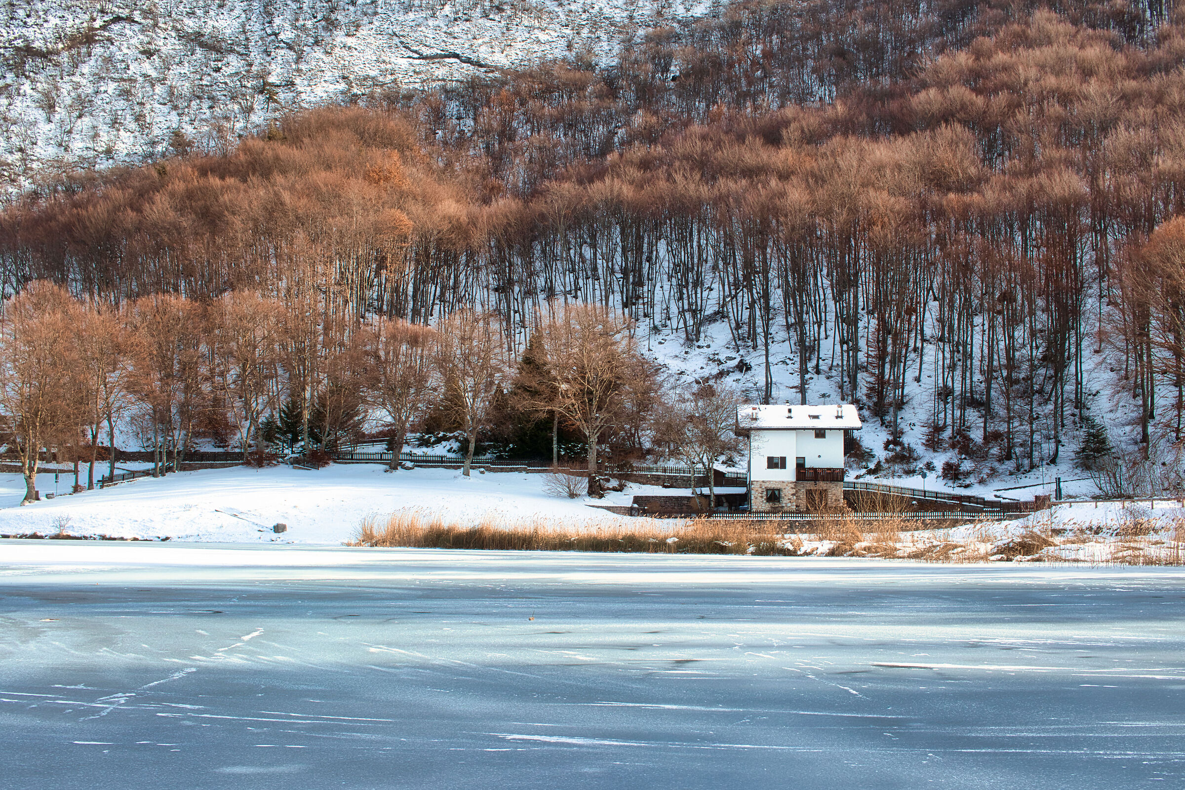 Lago di Lagolo - Inverno...