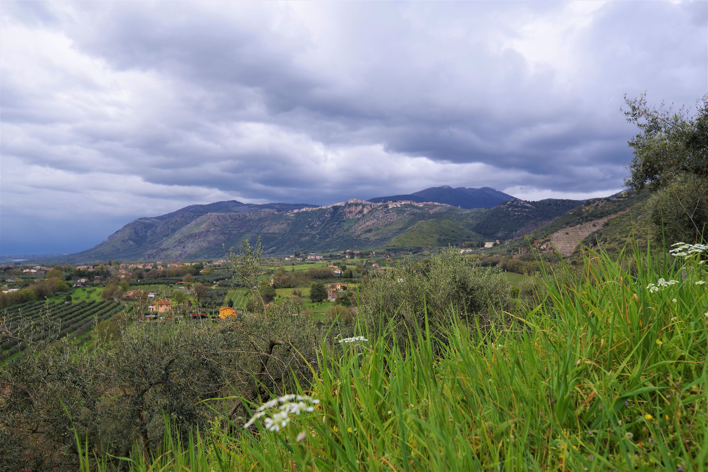 Panorama from the Via Francigena...