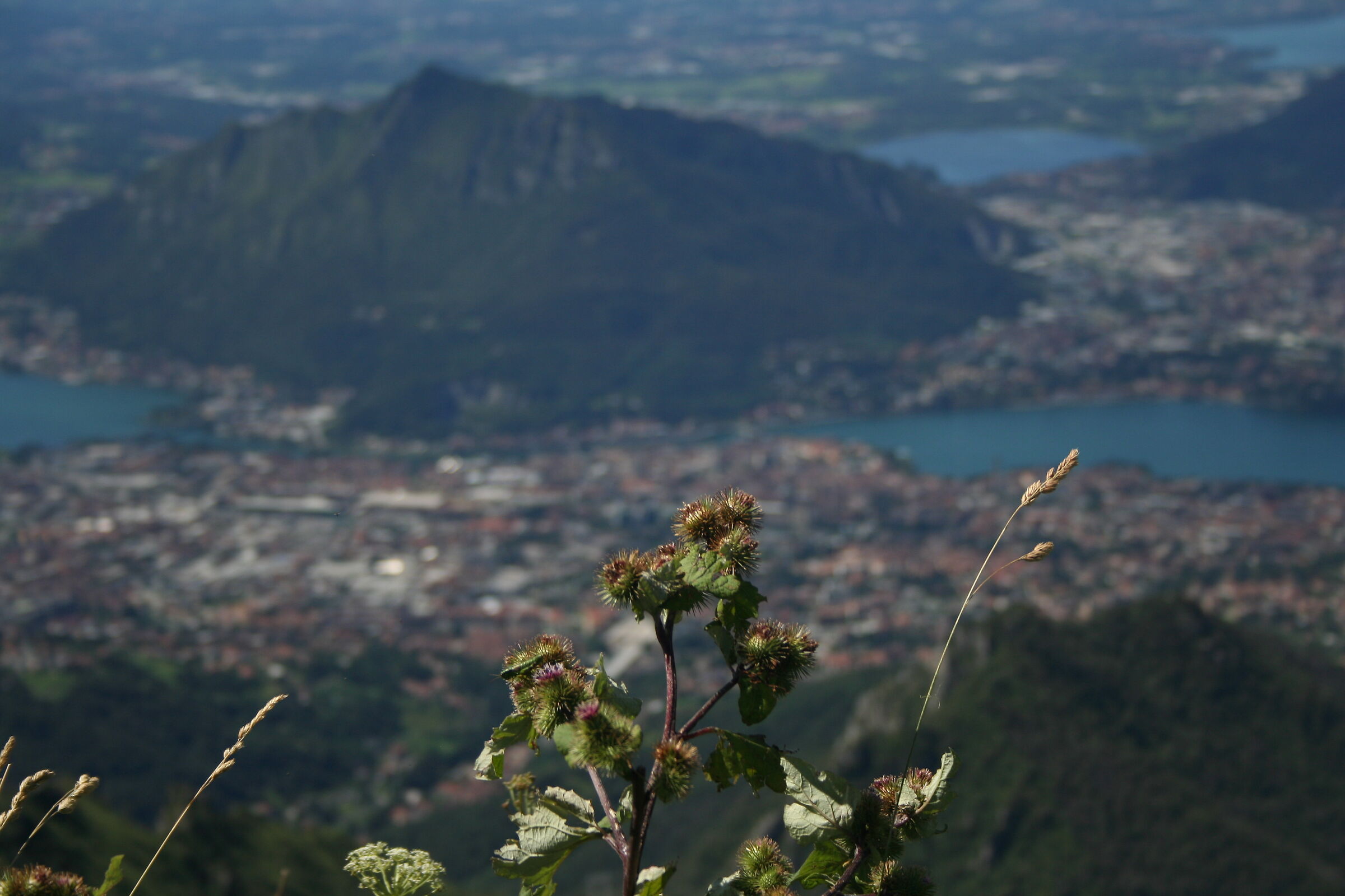 Vista sul Monte Barro 3.0...