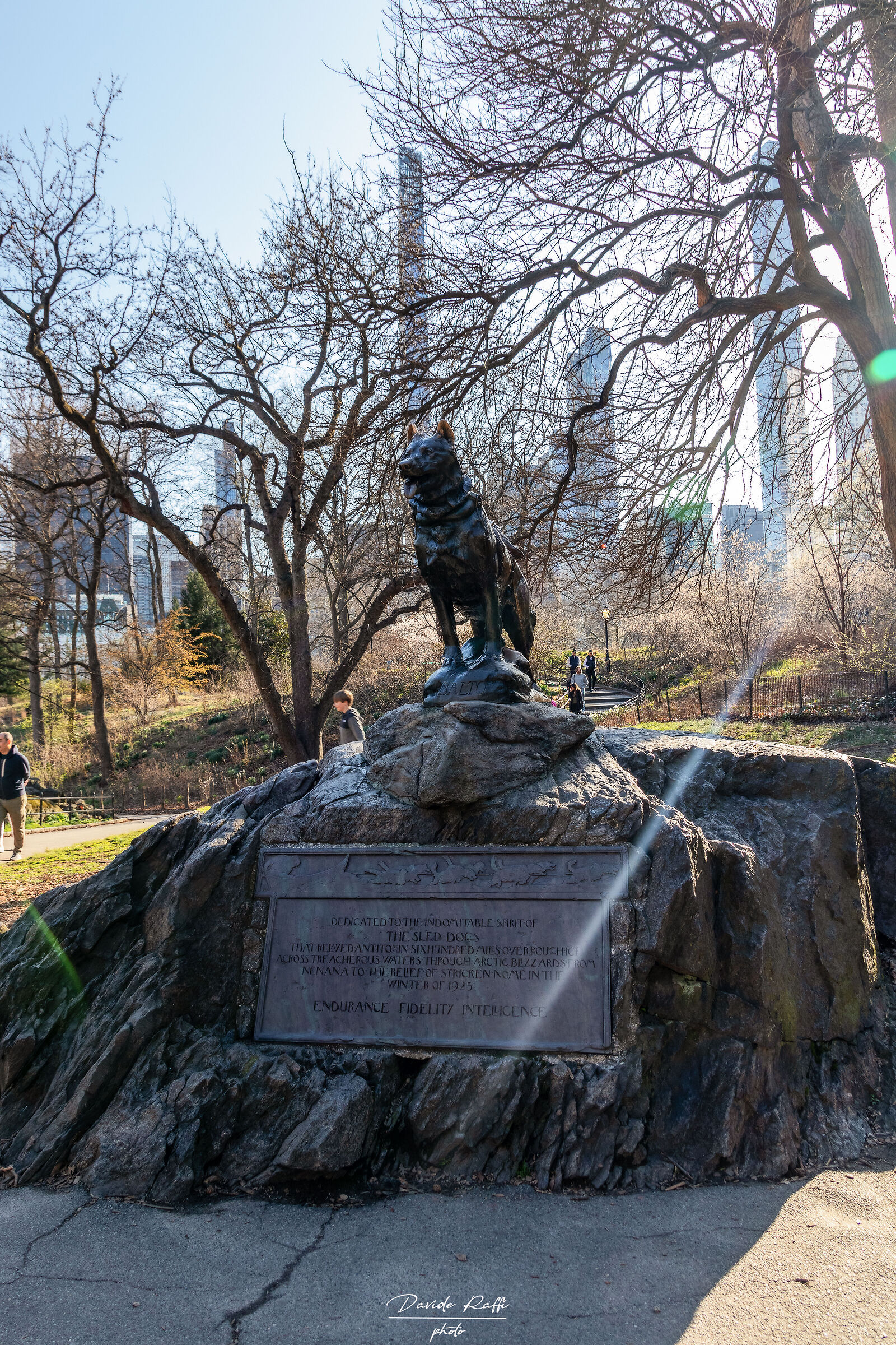 The statue of Balto in Central Park...