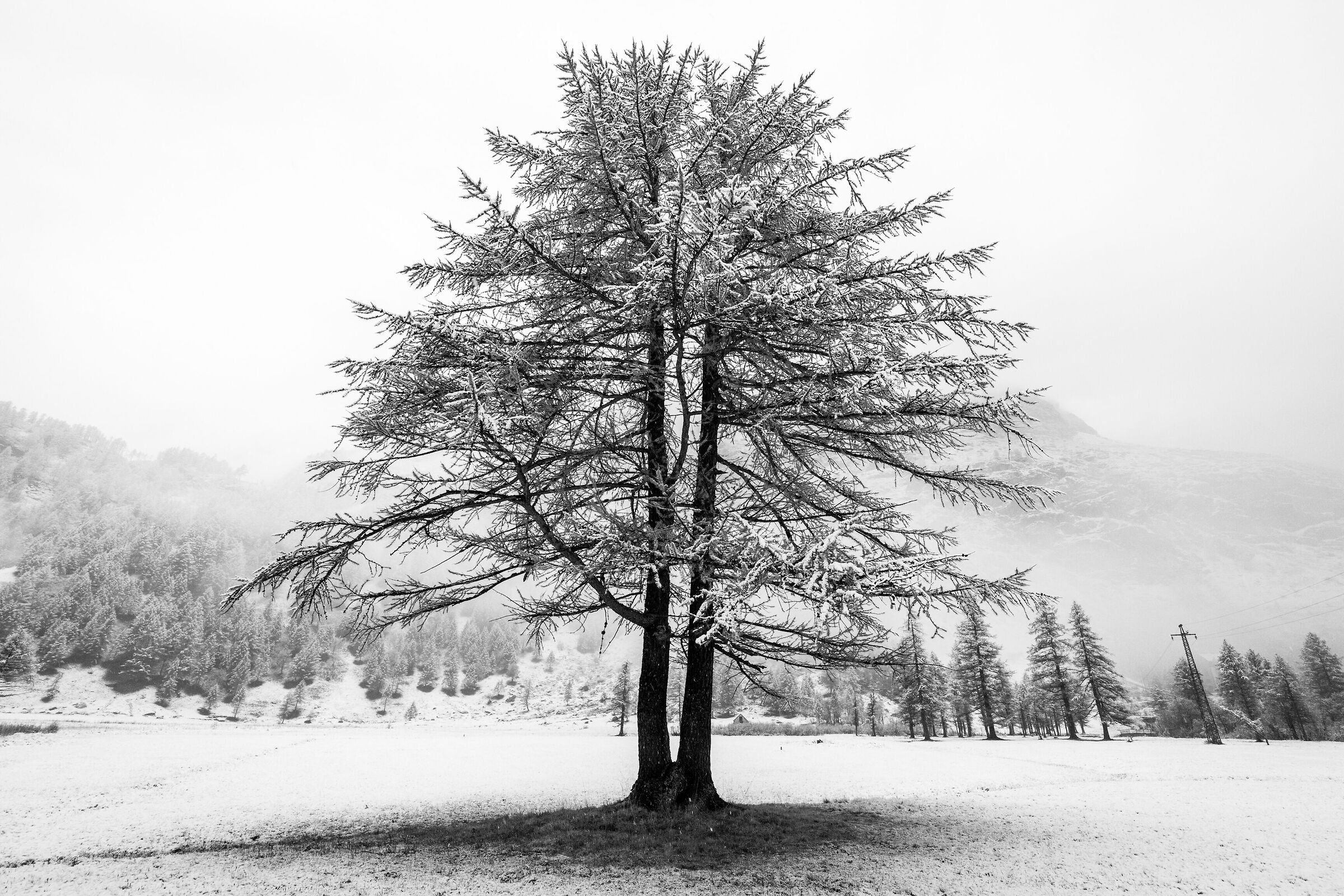 Alpe Devero - prima nevicata...