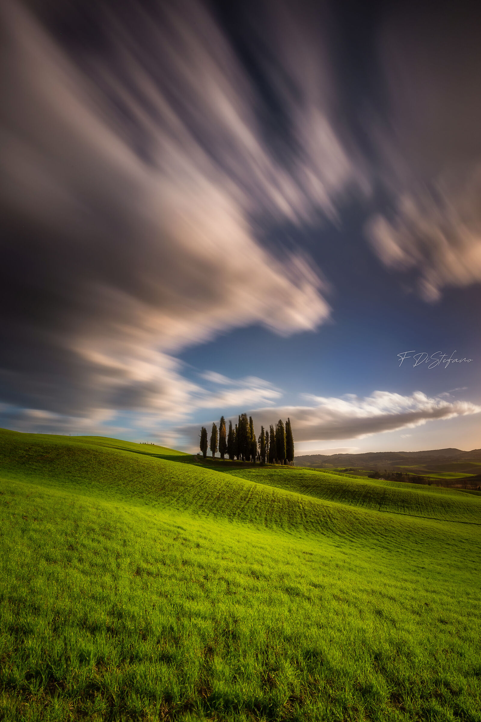 The Cypresses of S.Quirico d'Orcia...