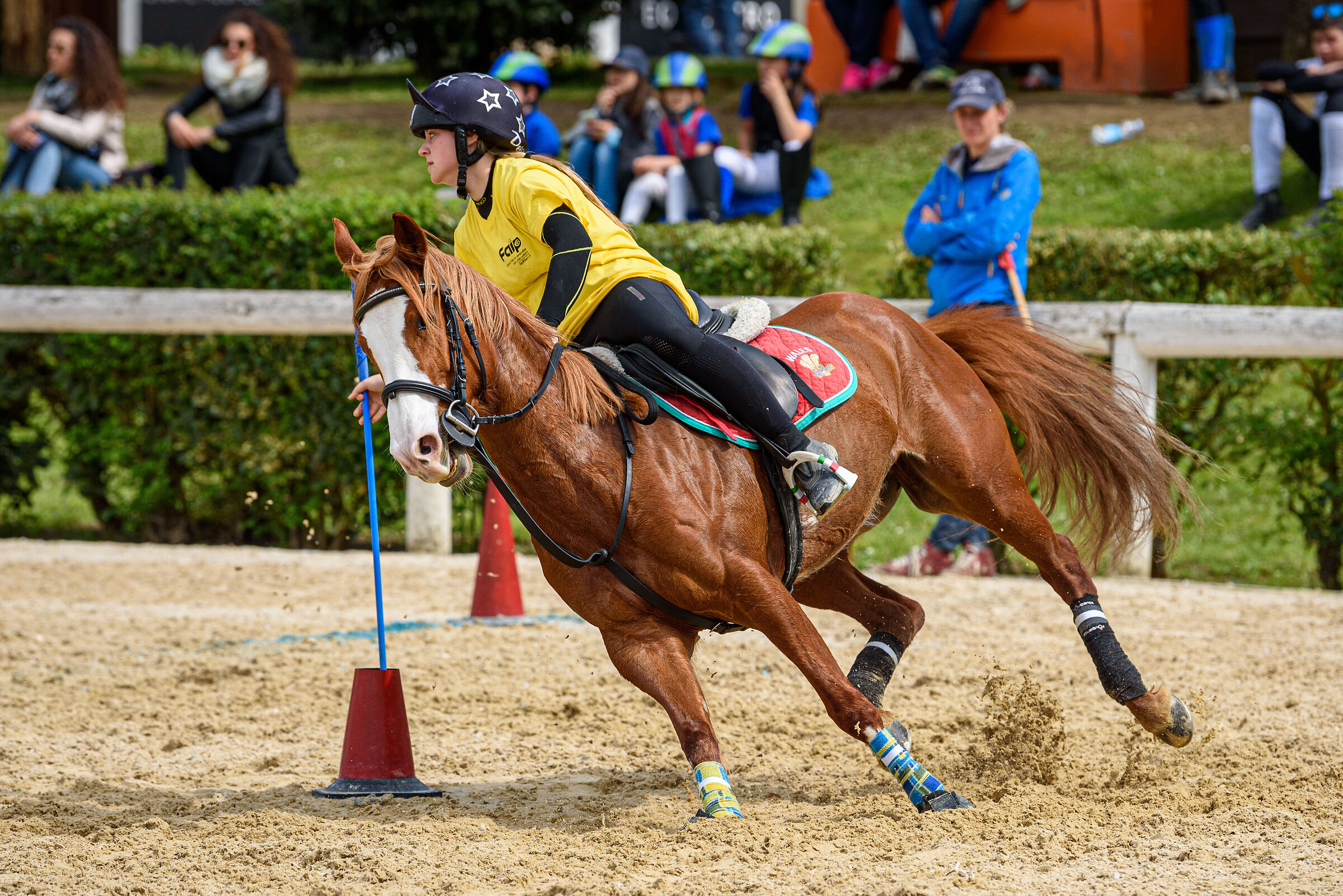 Mounted Game Equestrian Centre...