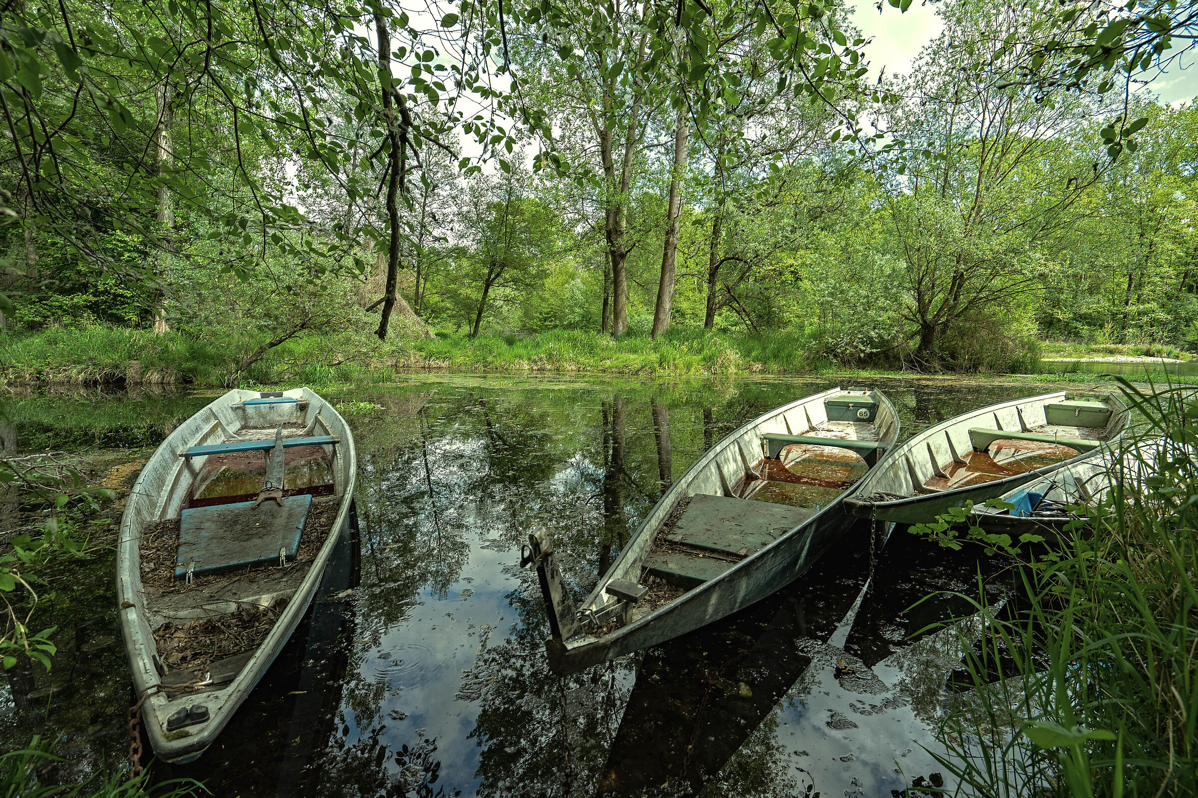Boats at rest...
