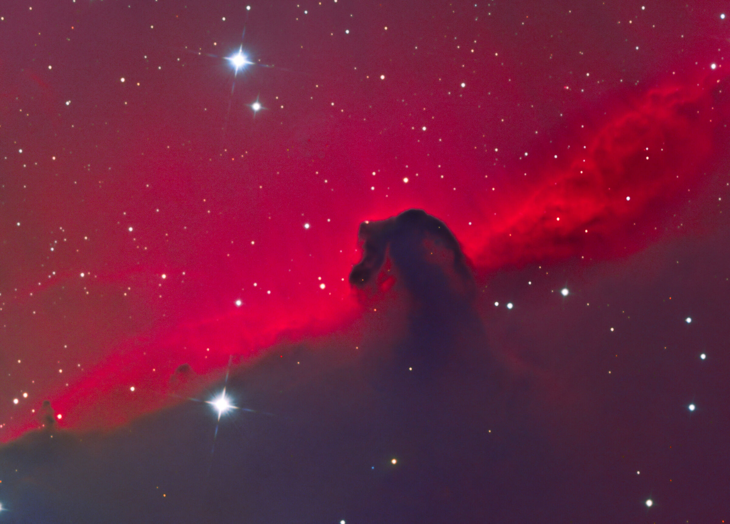 Horse Head in Orion...