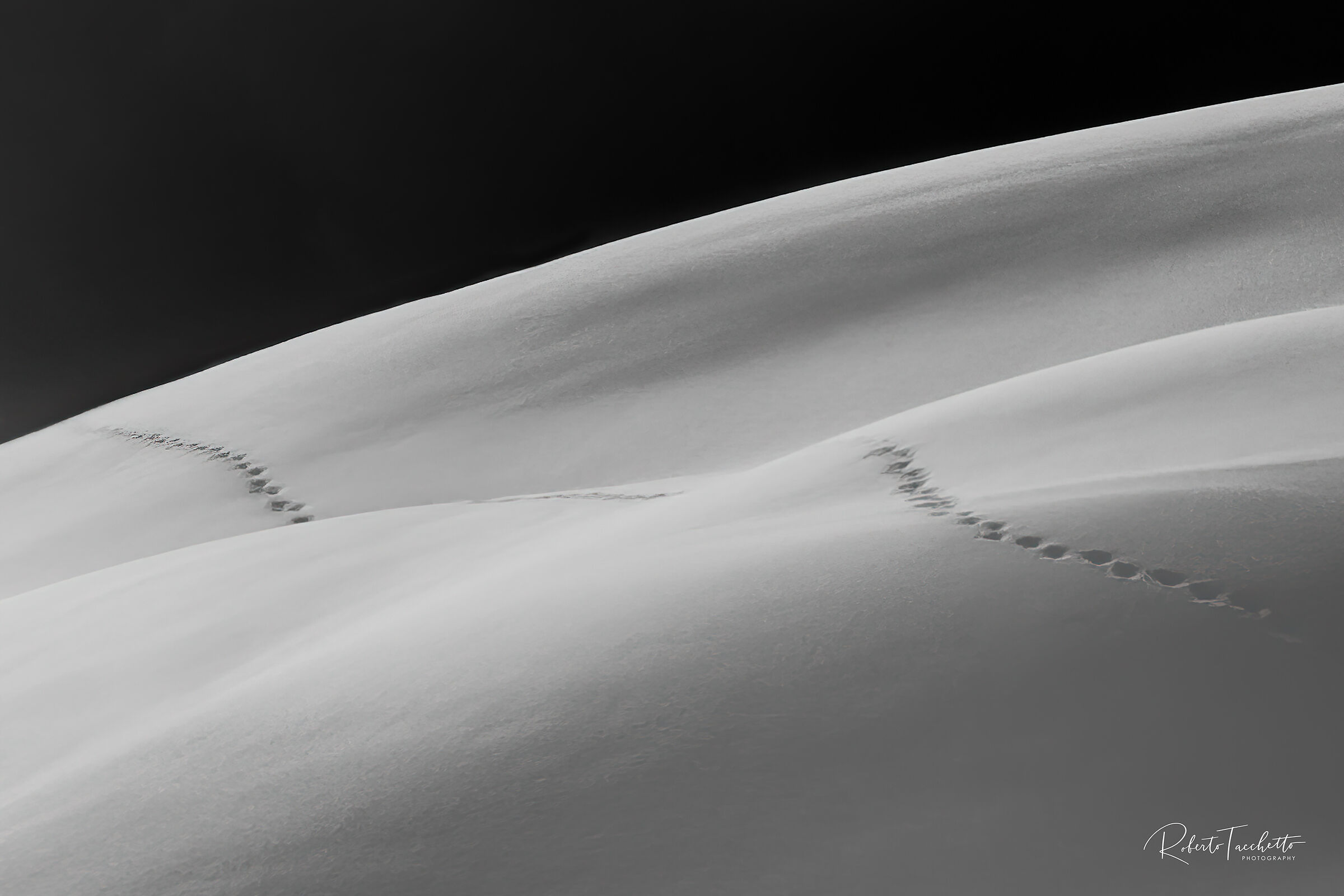 The Way...
