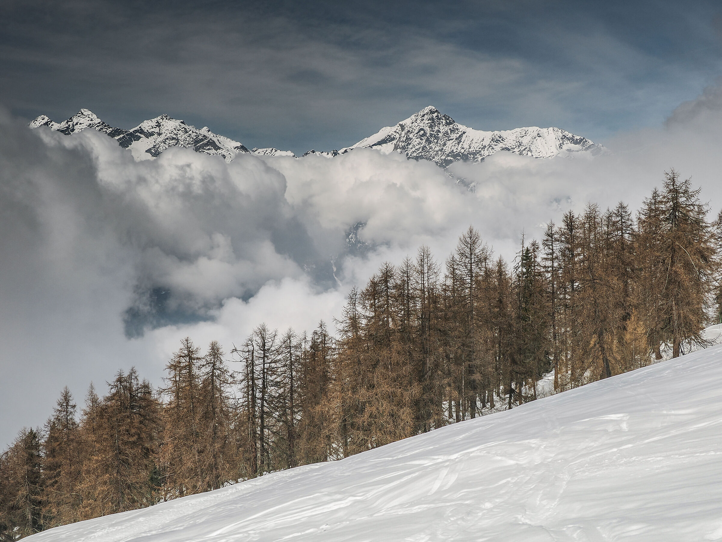 Aosta Valley Coumarial...