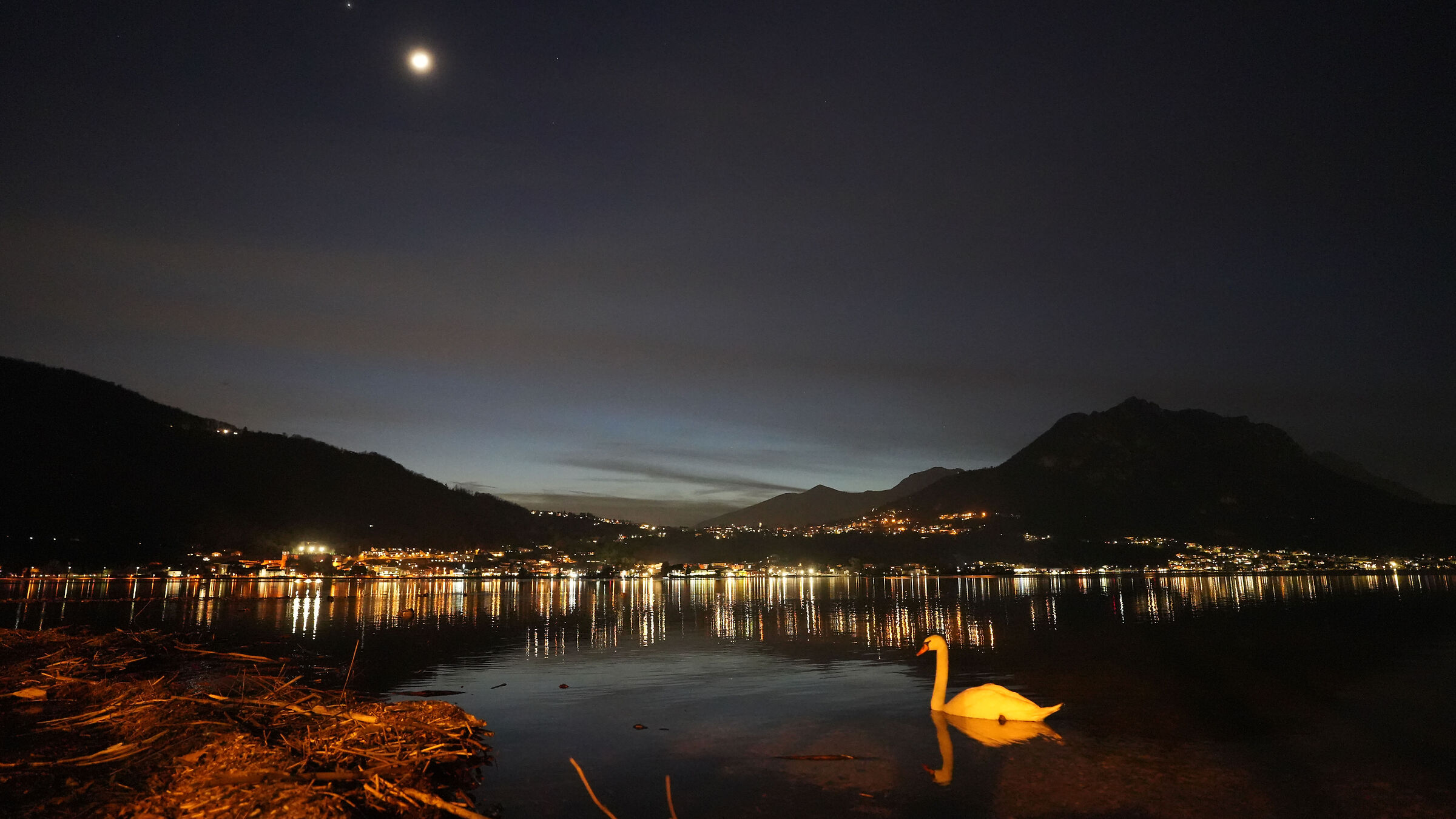Cigno nottambulo sul lago di Garlate...
