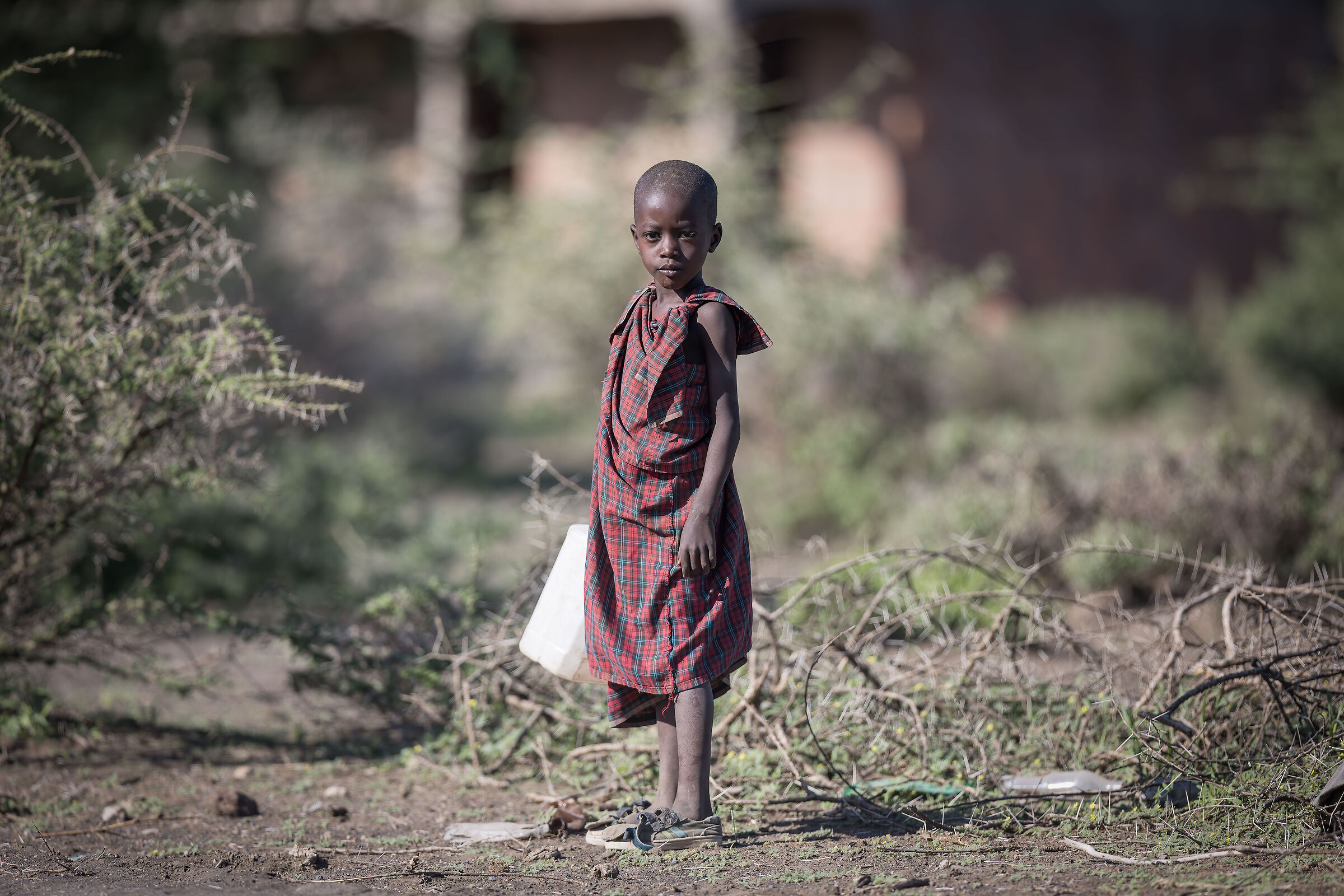Young Maasai...