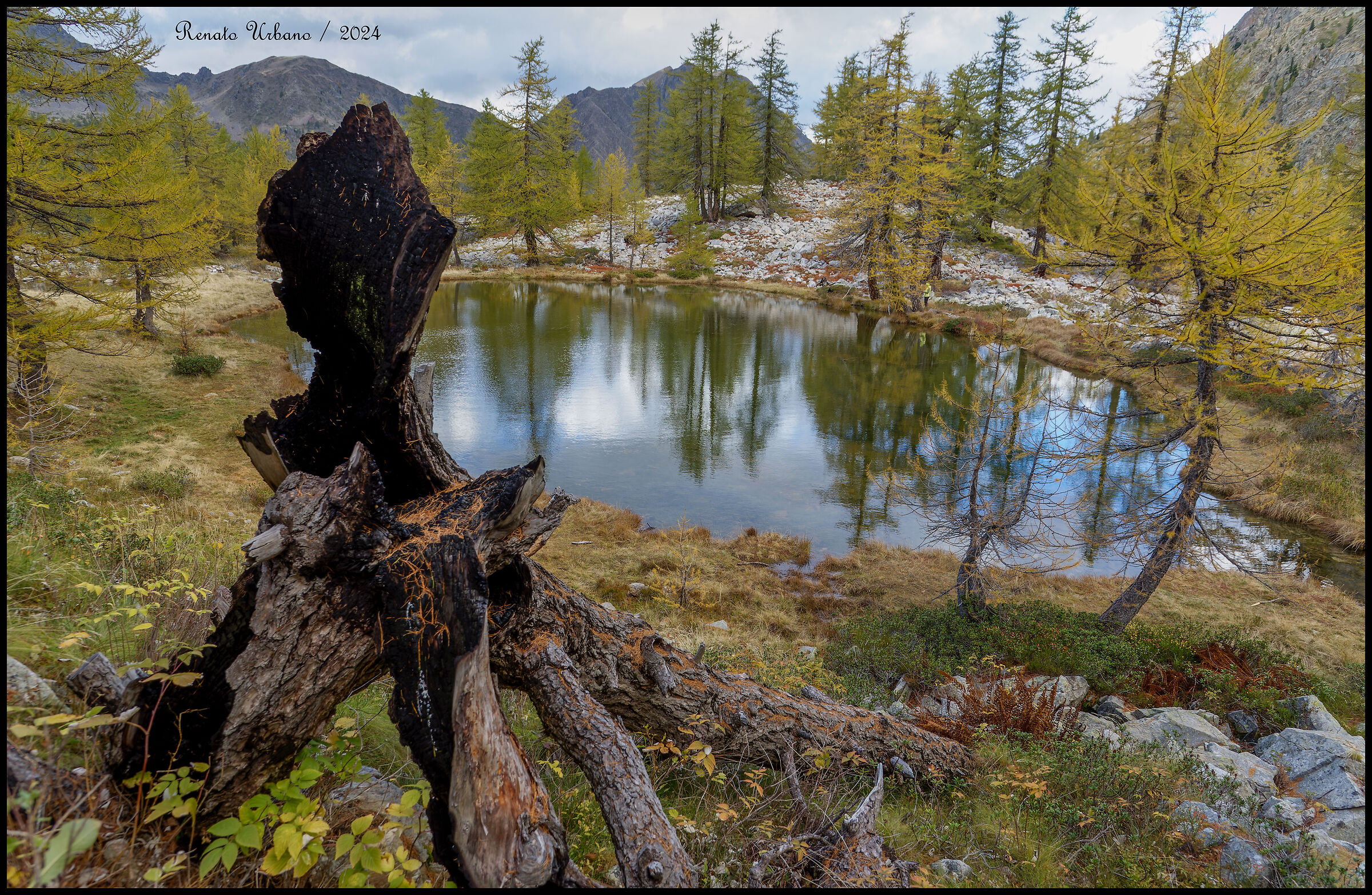 Reflections on the lake 2...