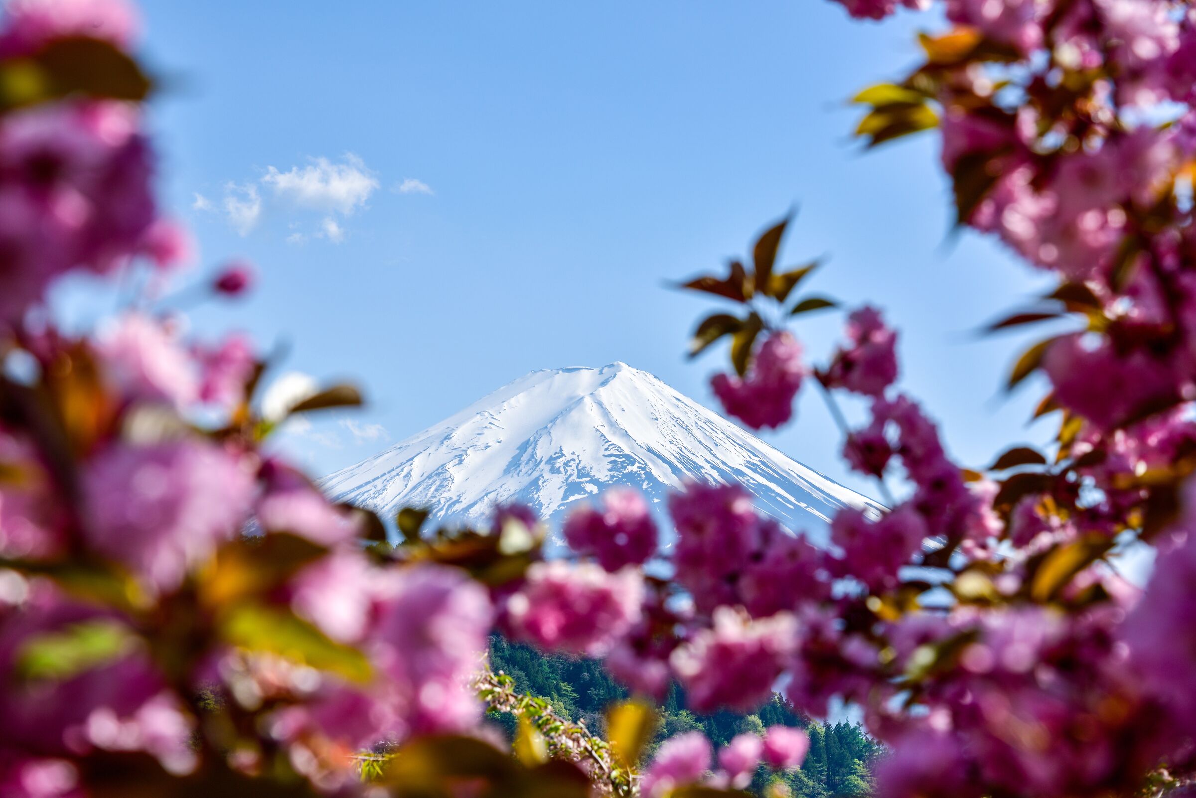 Mt.Fuji...