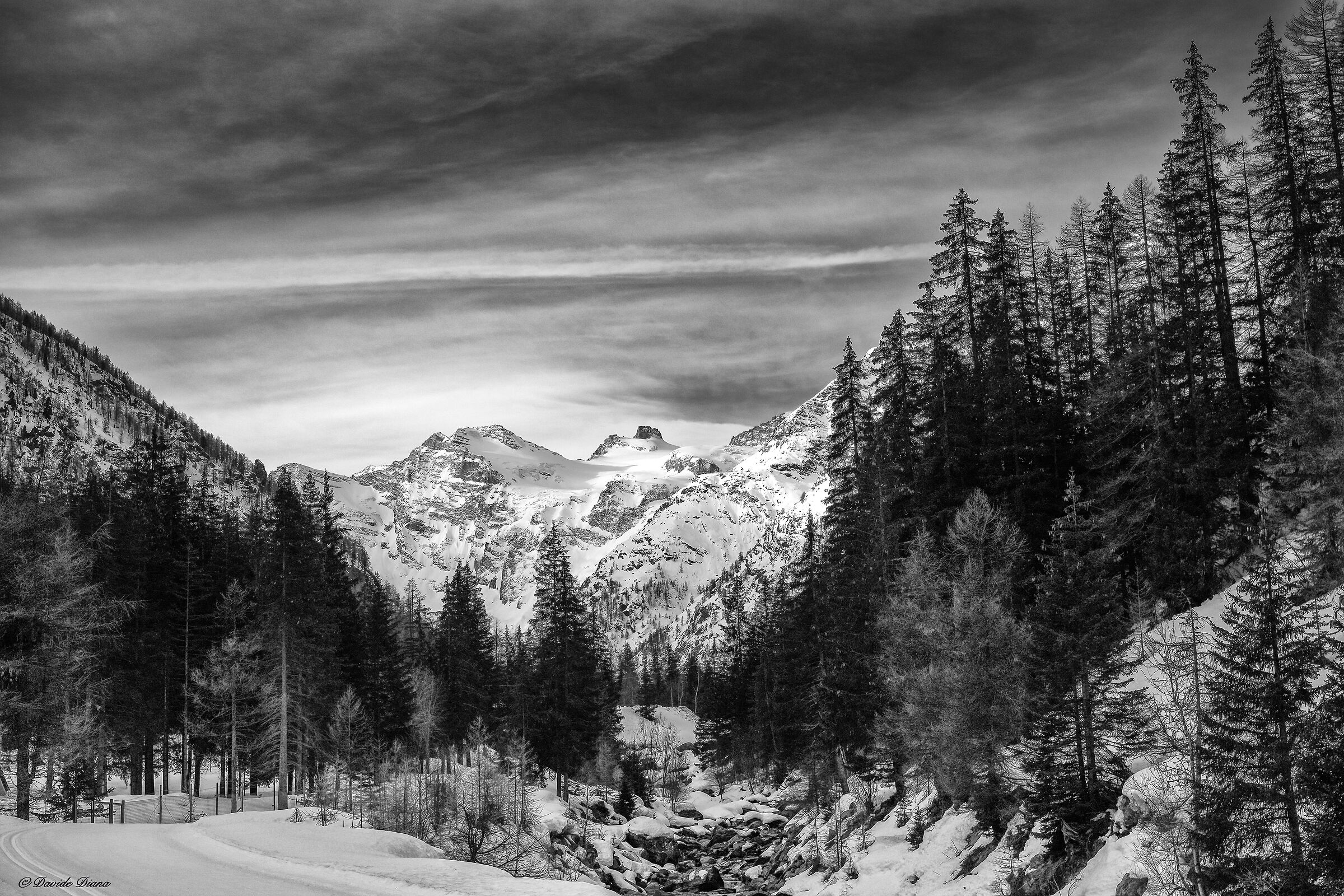 Parco Nazionale del Gran Paradiso - Valle d'Aosta...