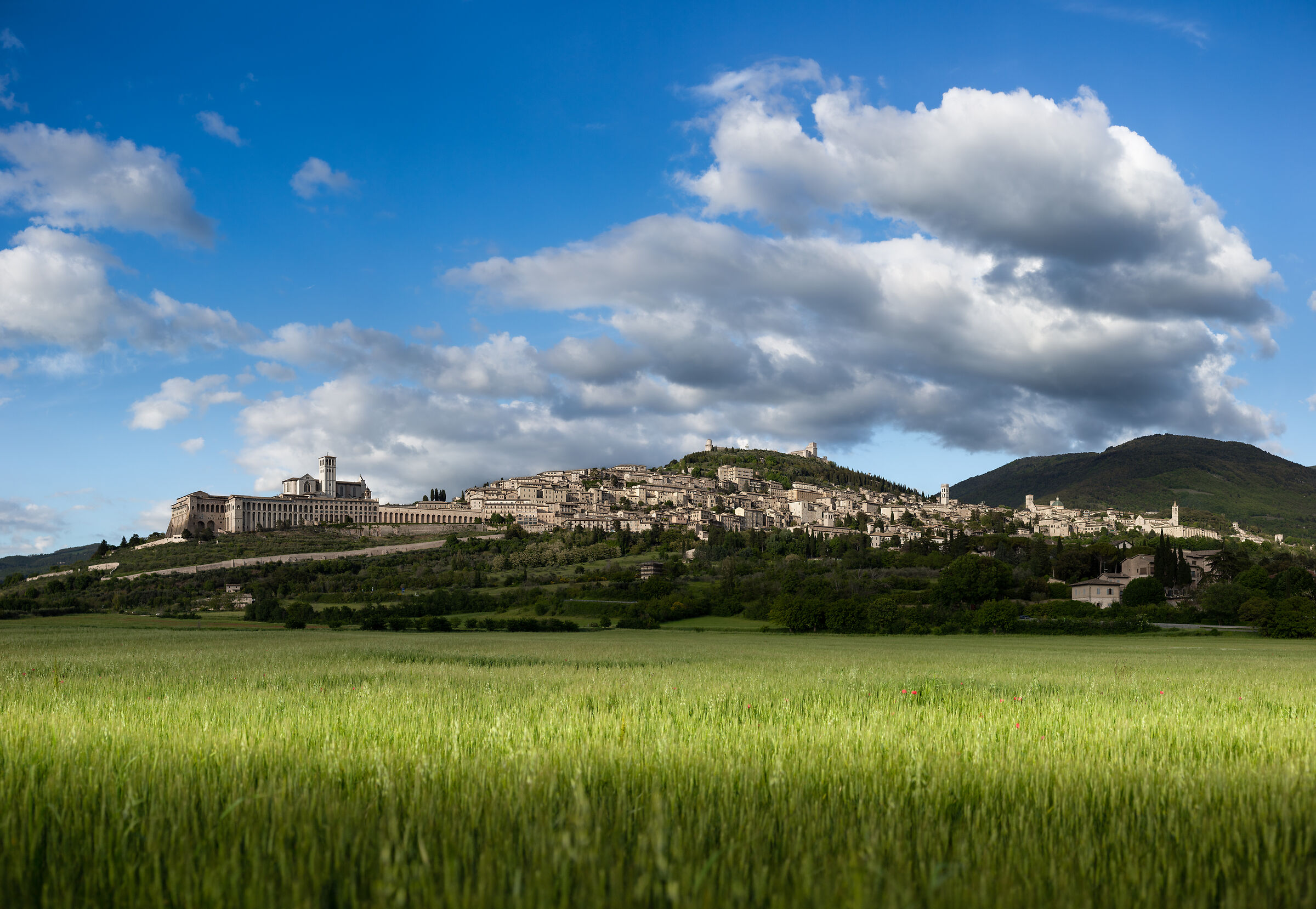Clouds protect Assisi...