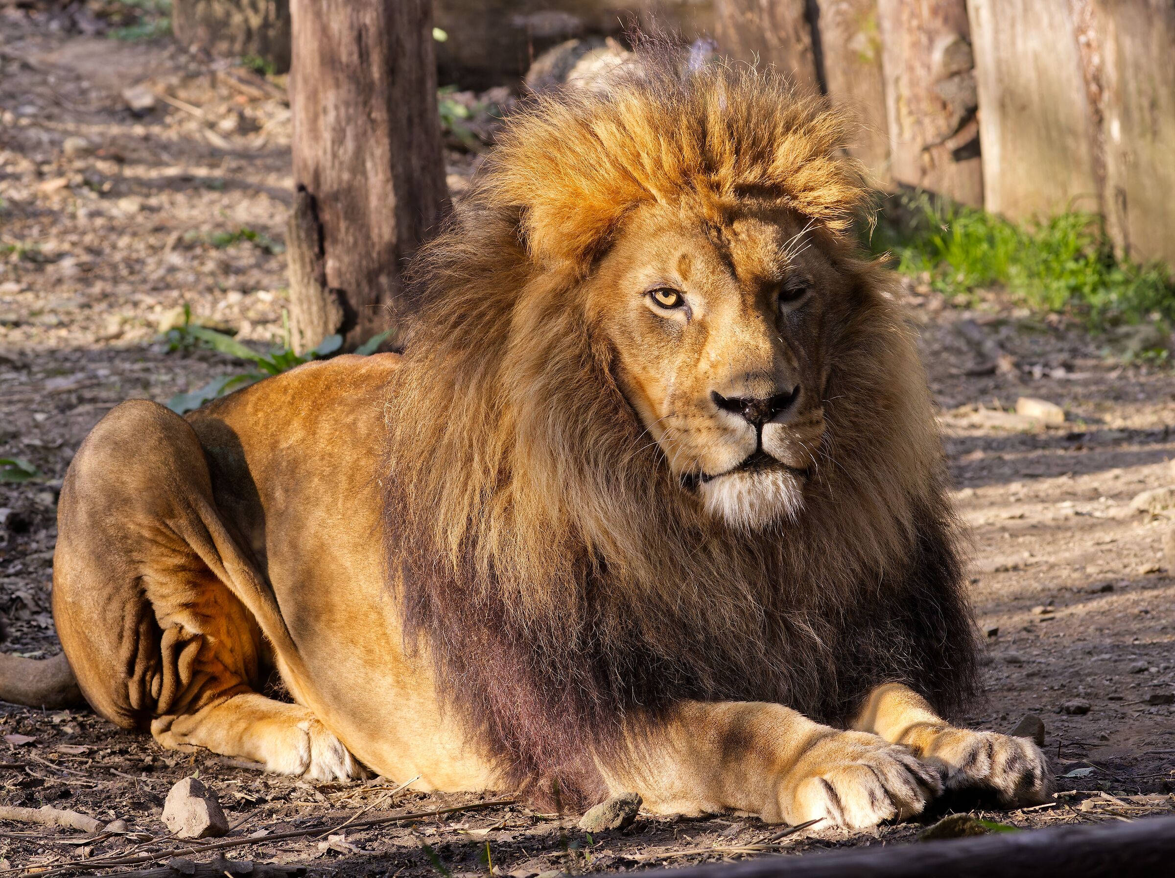 Zoo di Pistoia...