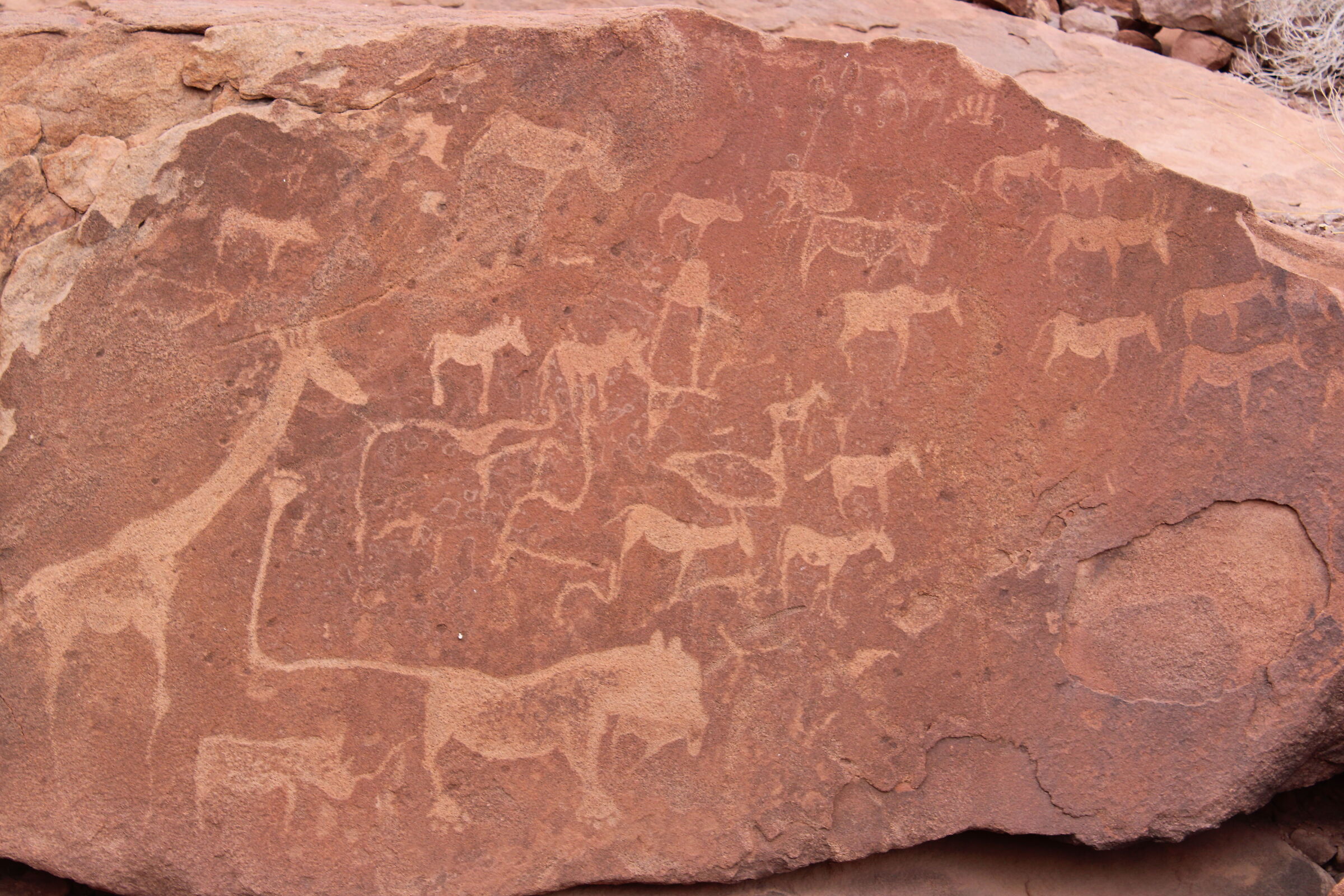 Namibia's oldest petroglyph...