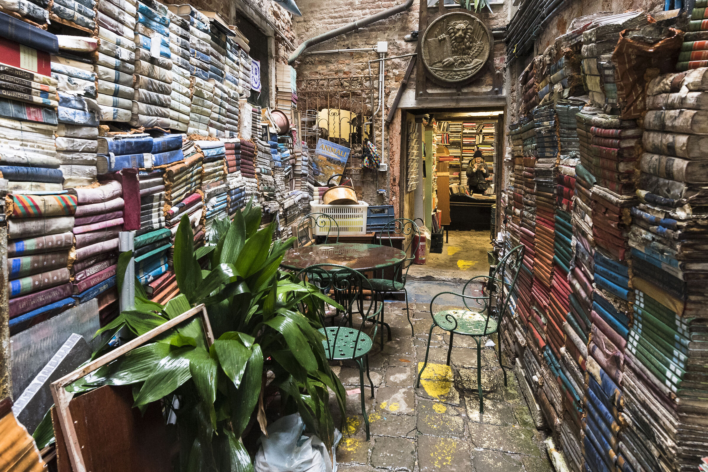 A bookshop in Venice...