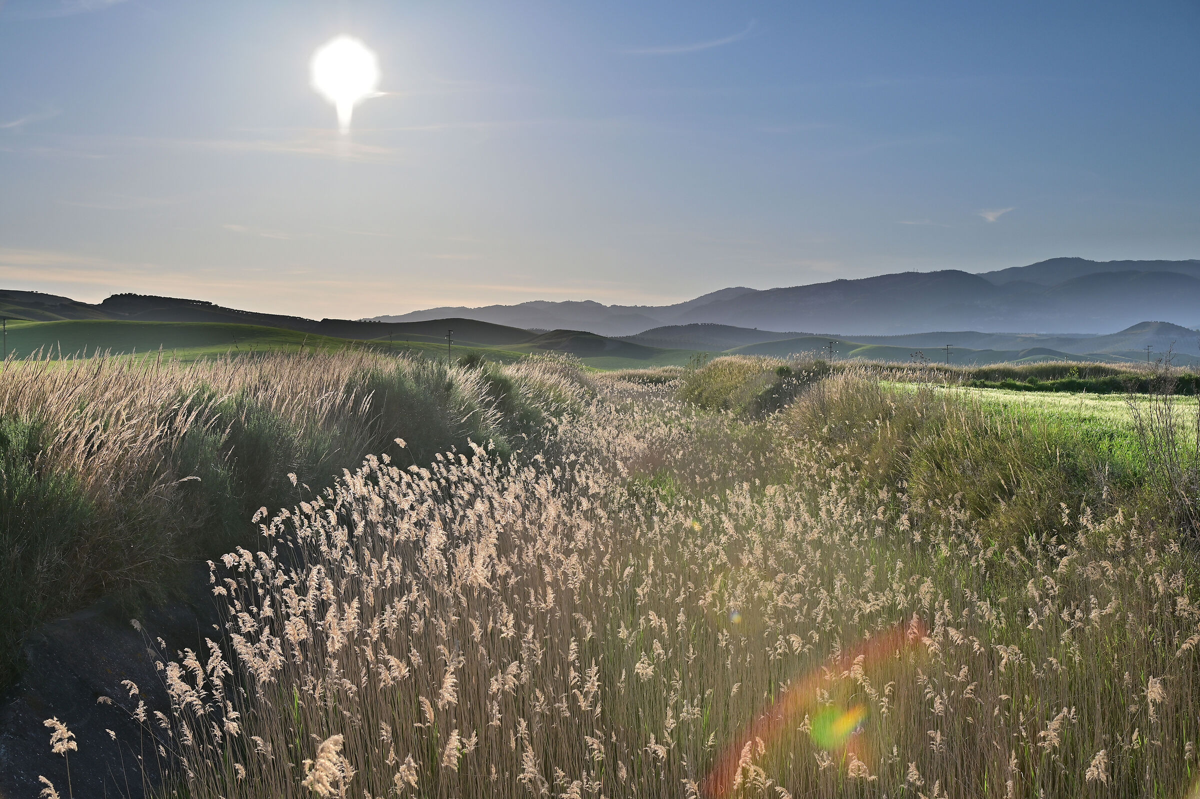Hills and green tide in Cutro...